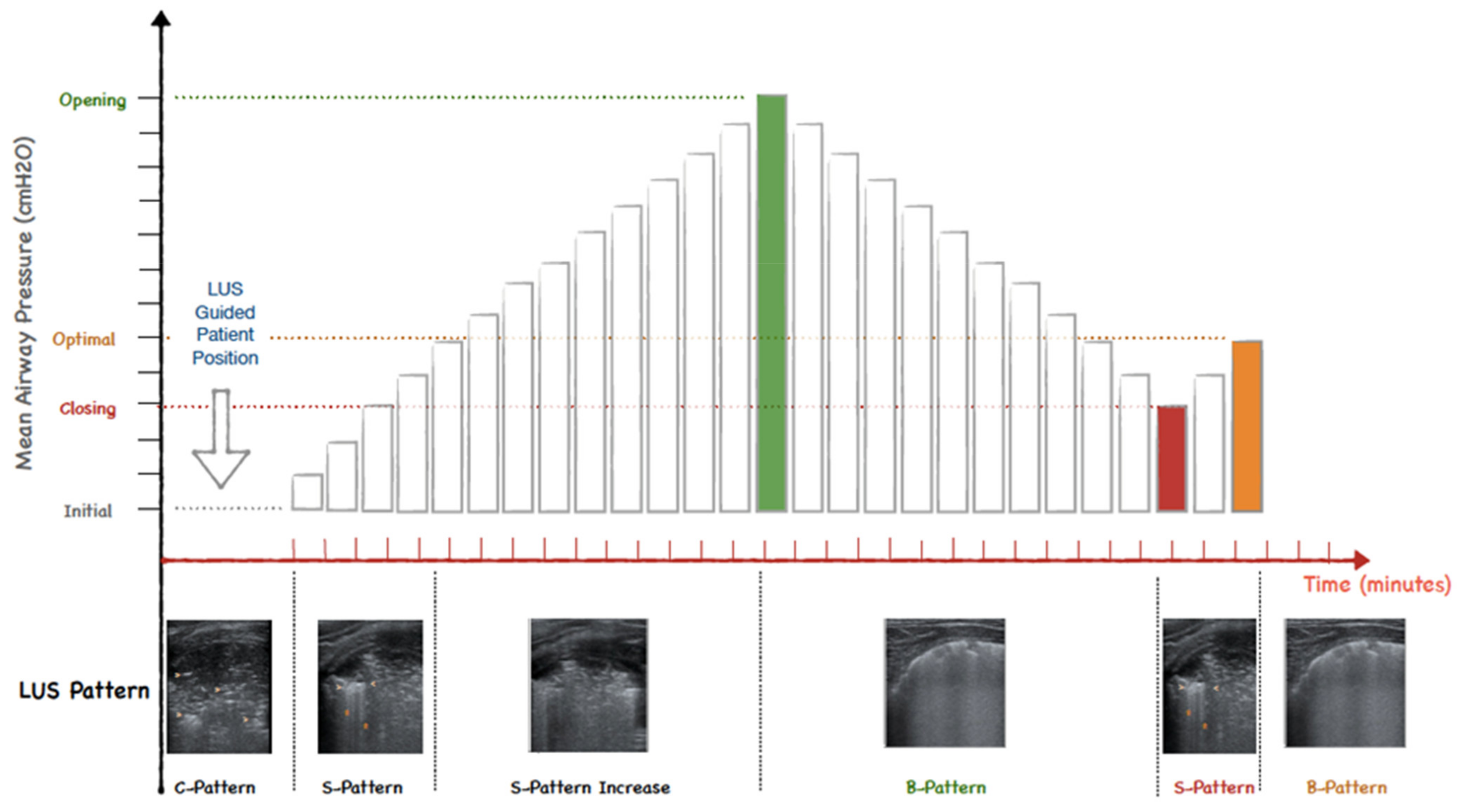 Children 09 01035 g001