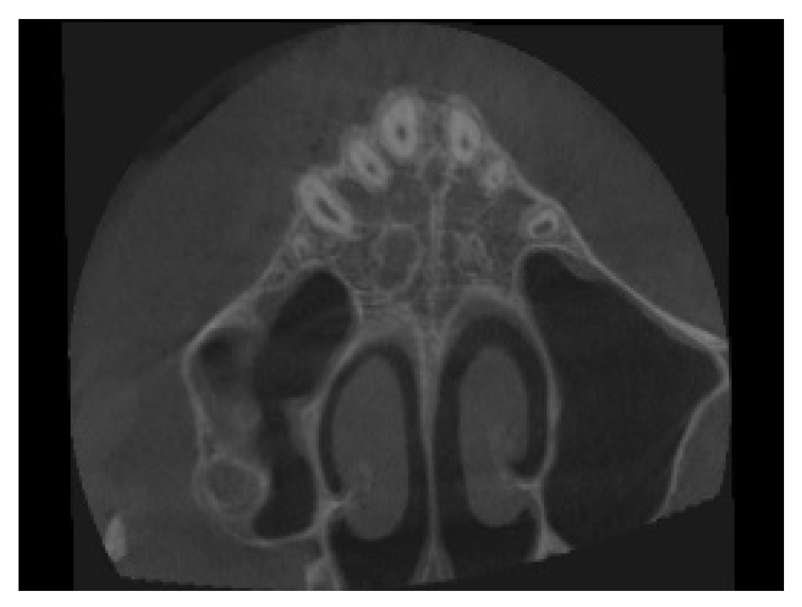 Children 09 01046 g007 Children 09 01046 g007