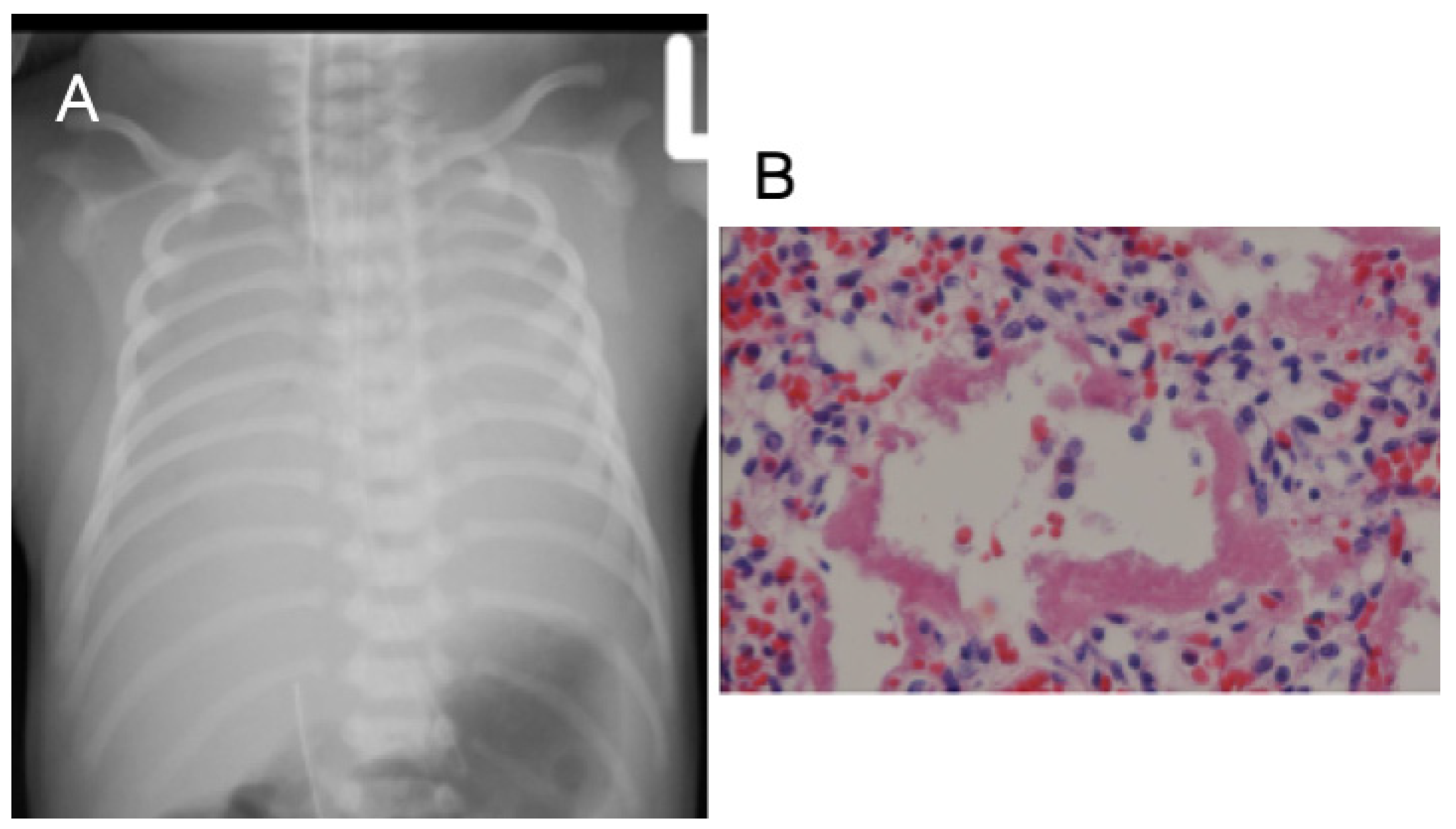 Children 09 01064 g001