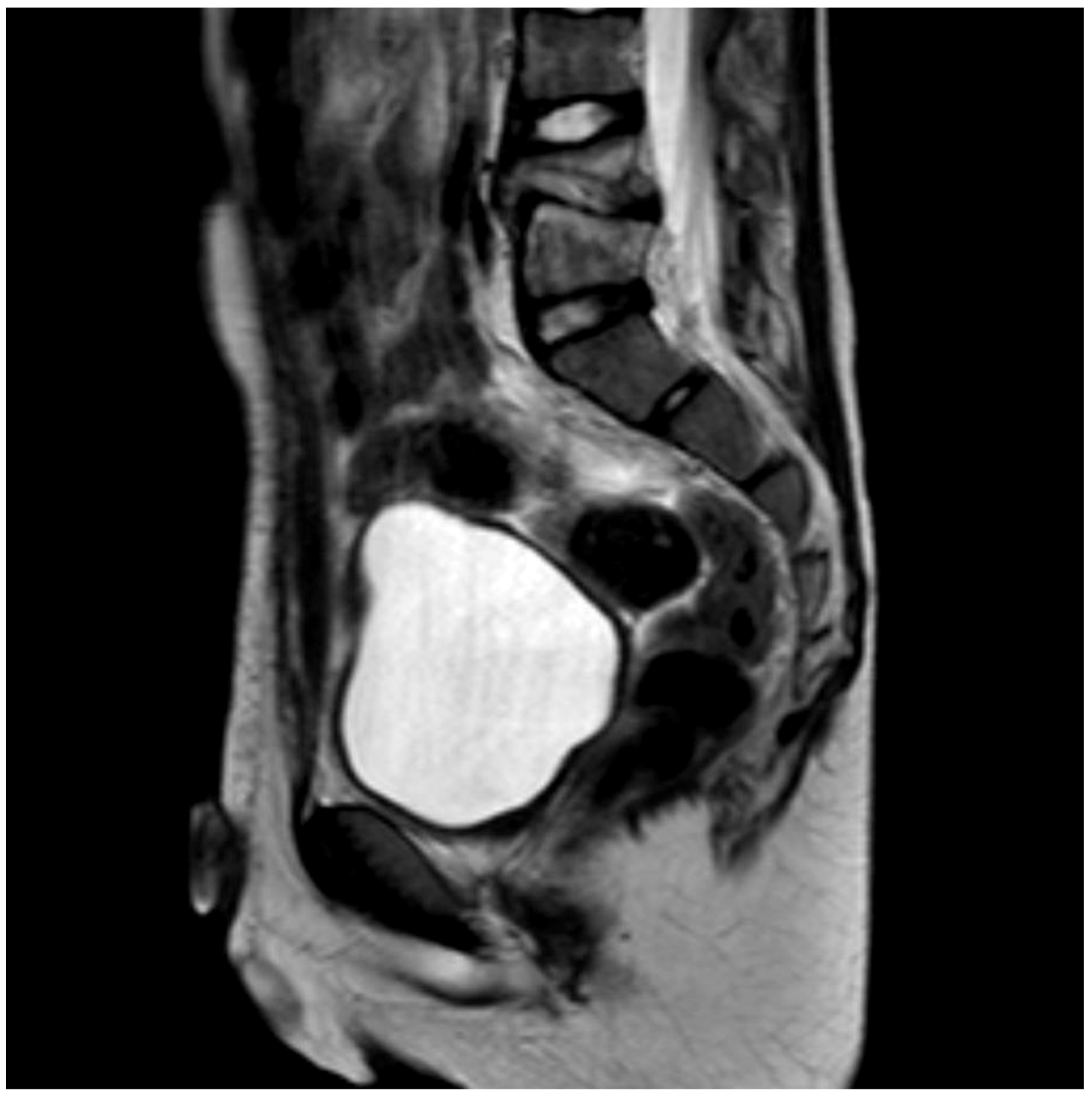 Children 09 01103 g002 550