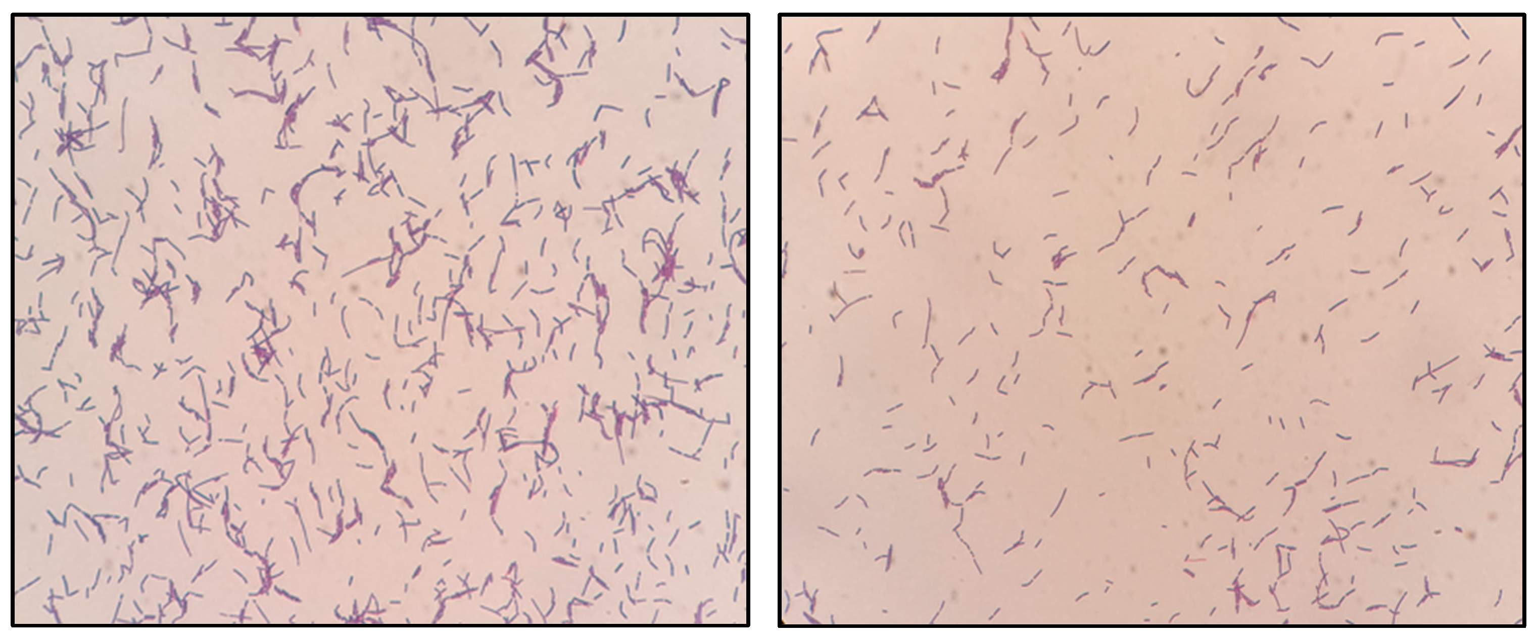 Children 09 01104 g001 Children 09 01104 g001