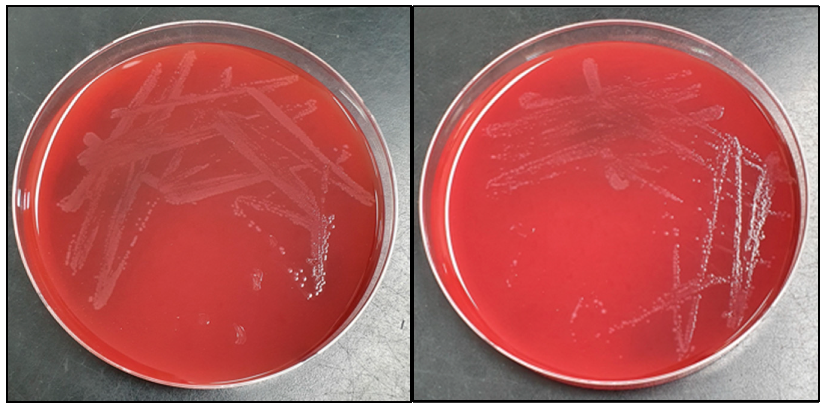 Children 09 01104 g002 Children 09 01104 g002