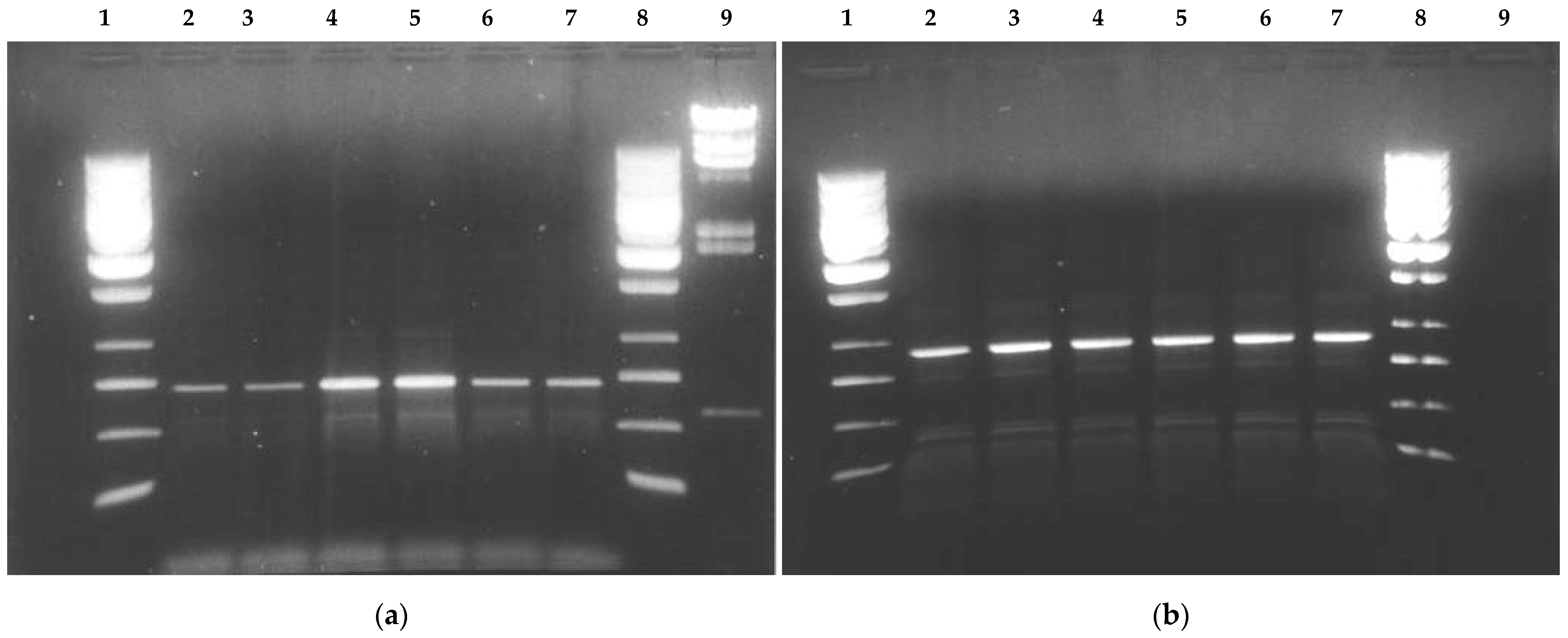 Children 09 01108 g002 Children 09 01108 g002