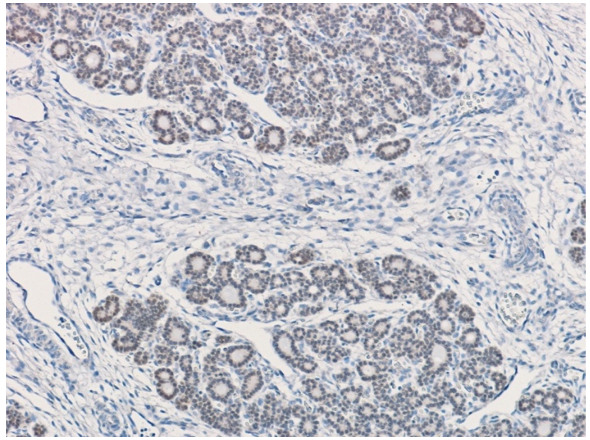 Children 09 01108 g003 Children 09 01108 g003