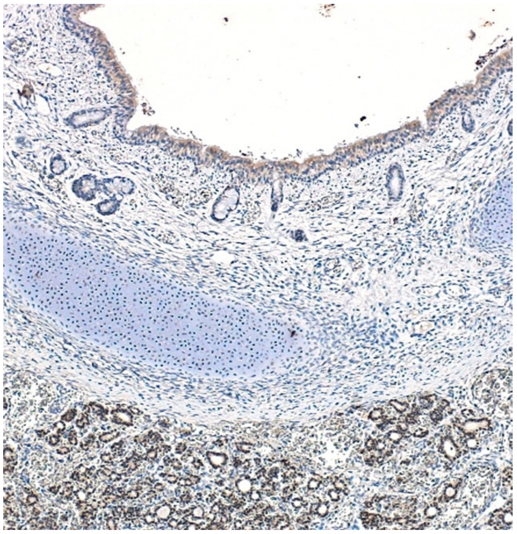 Children 09 01108 g004 Children 09 01108 g004