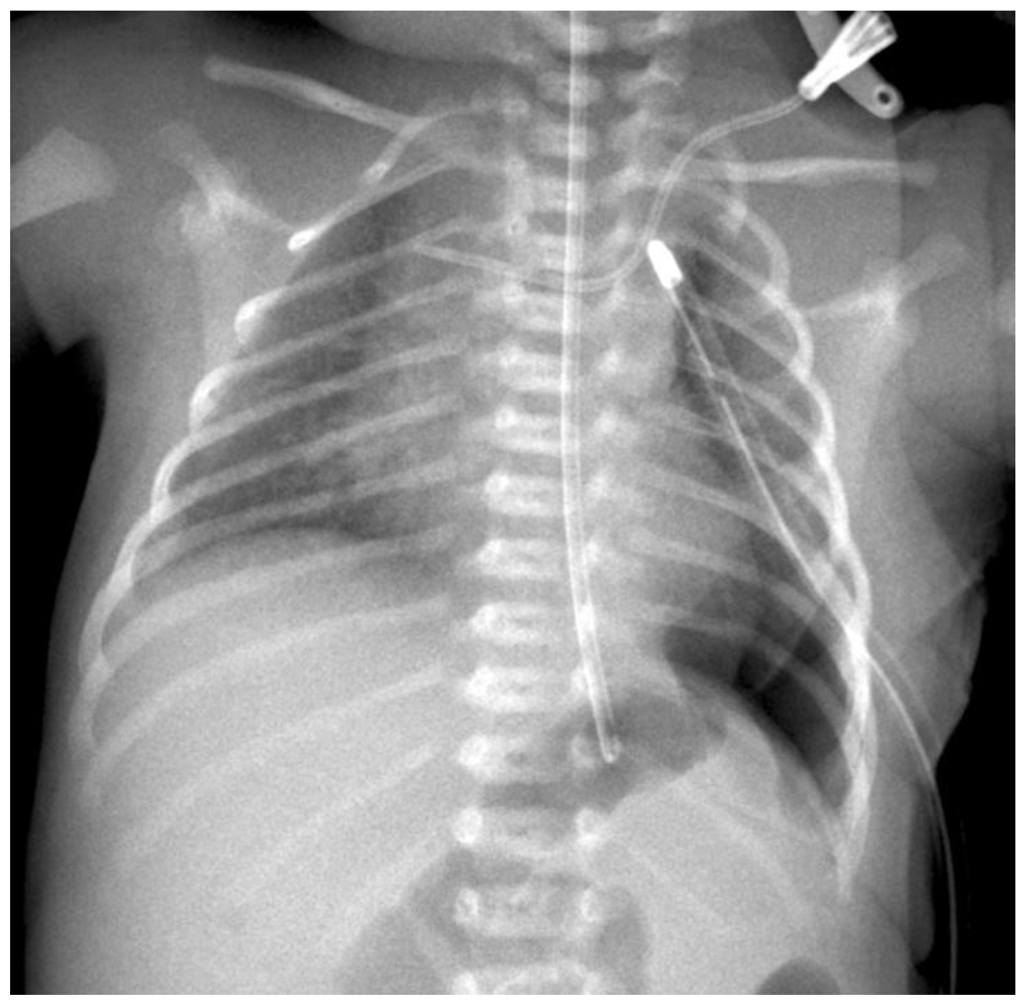 Children 09 01116 g006