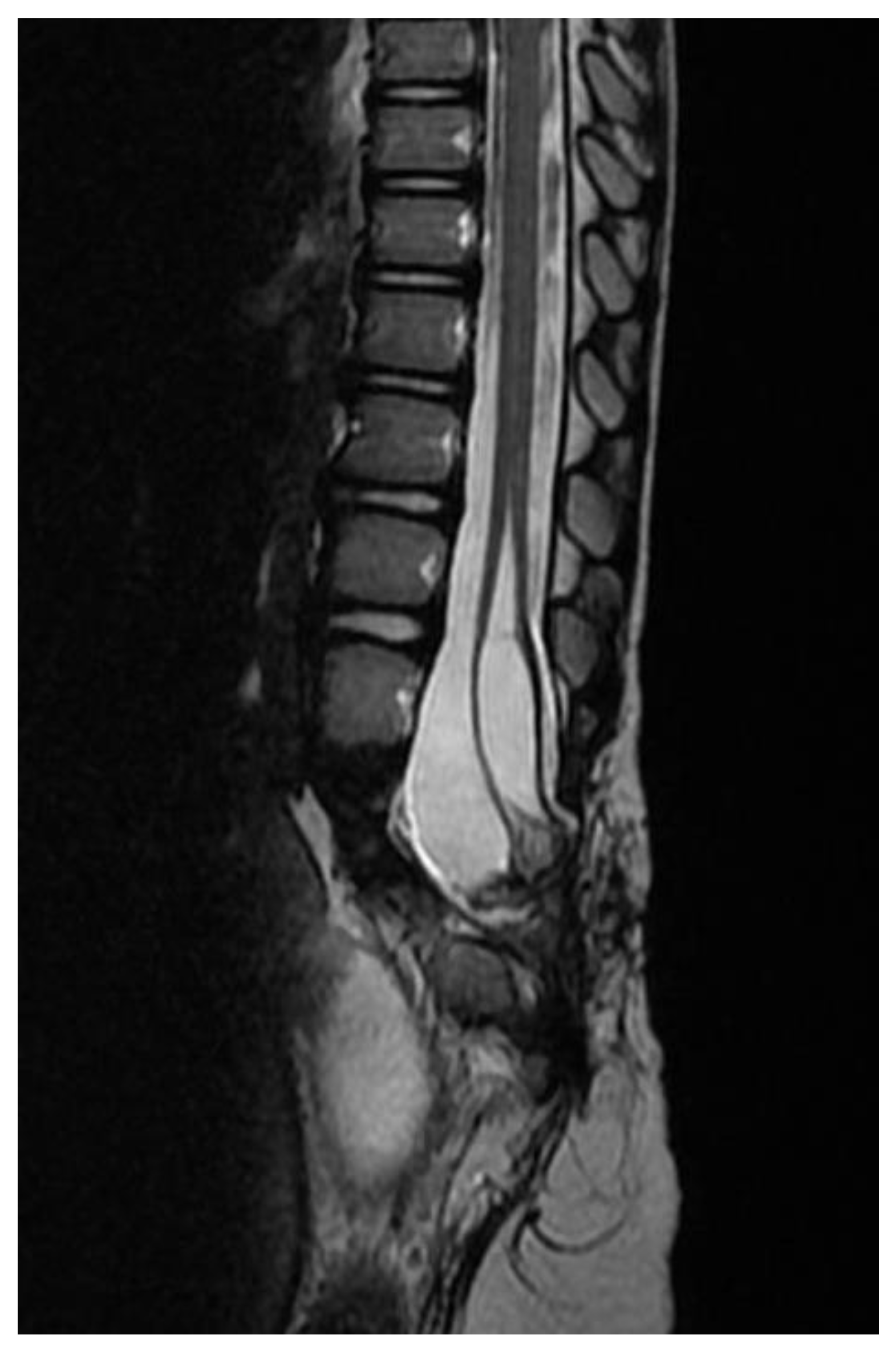 Children 09 01138 g004 Children 09 01138 g004