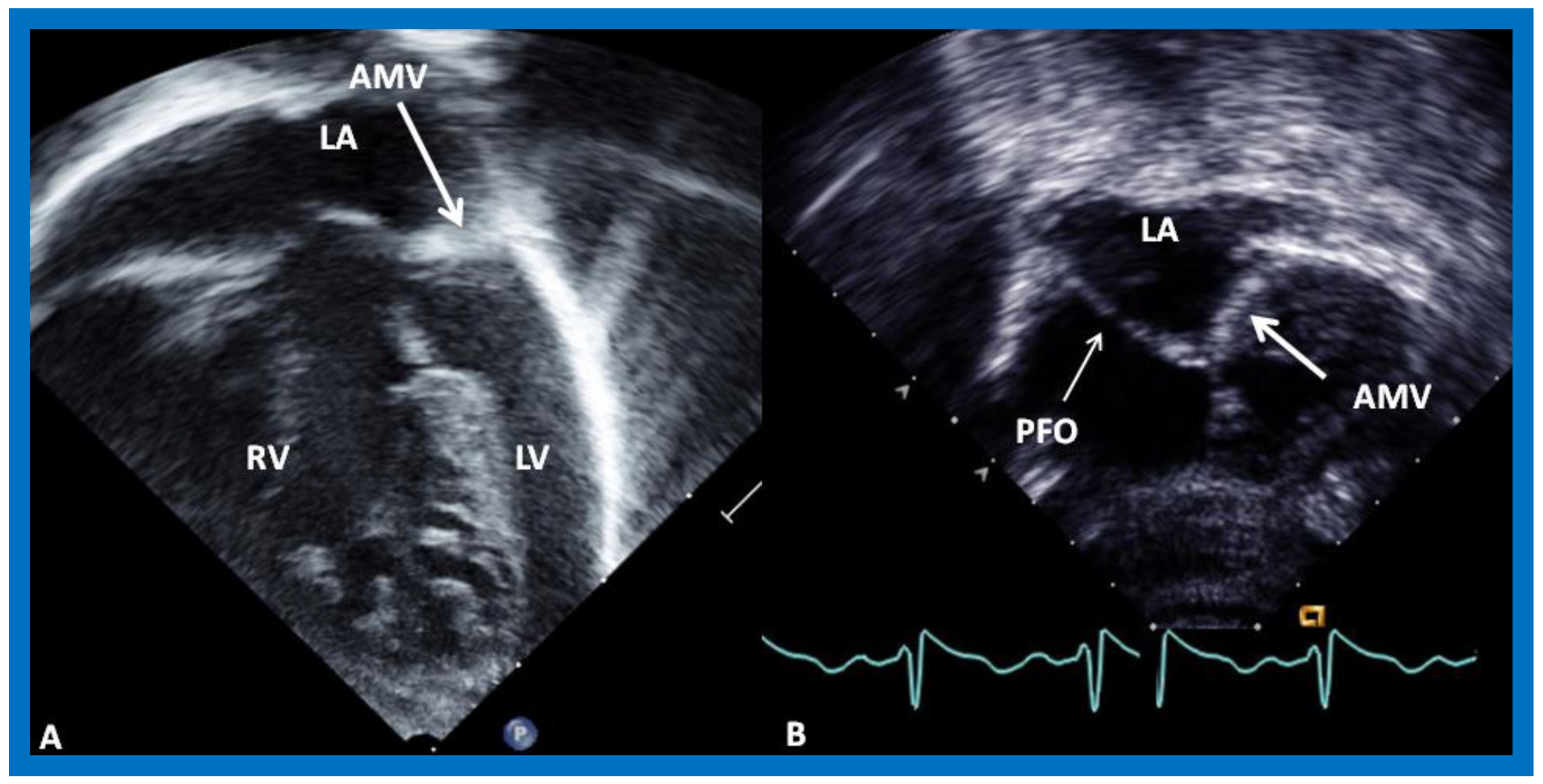 Children 09 01148 g001 550