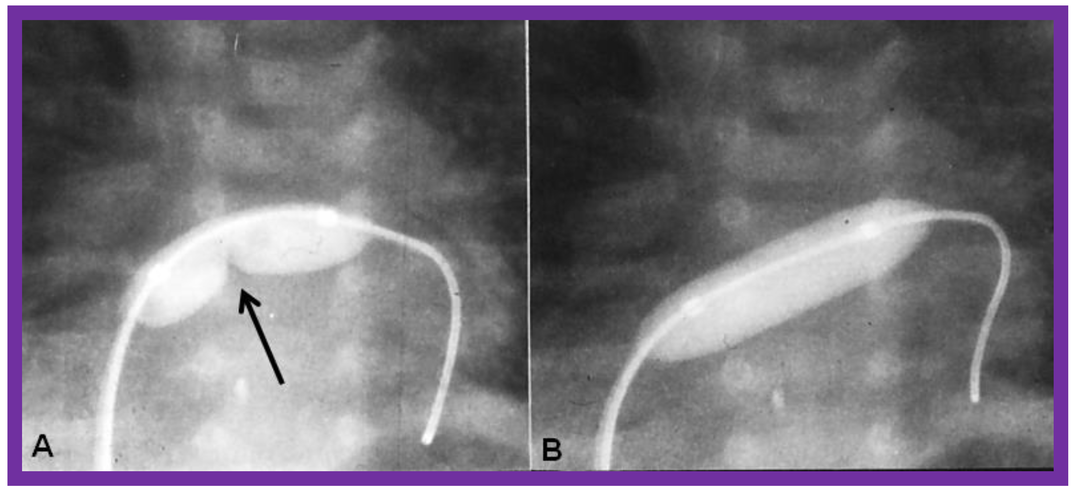 Children 09 01148 g004 550