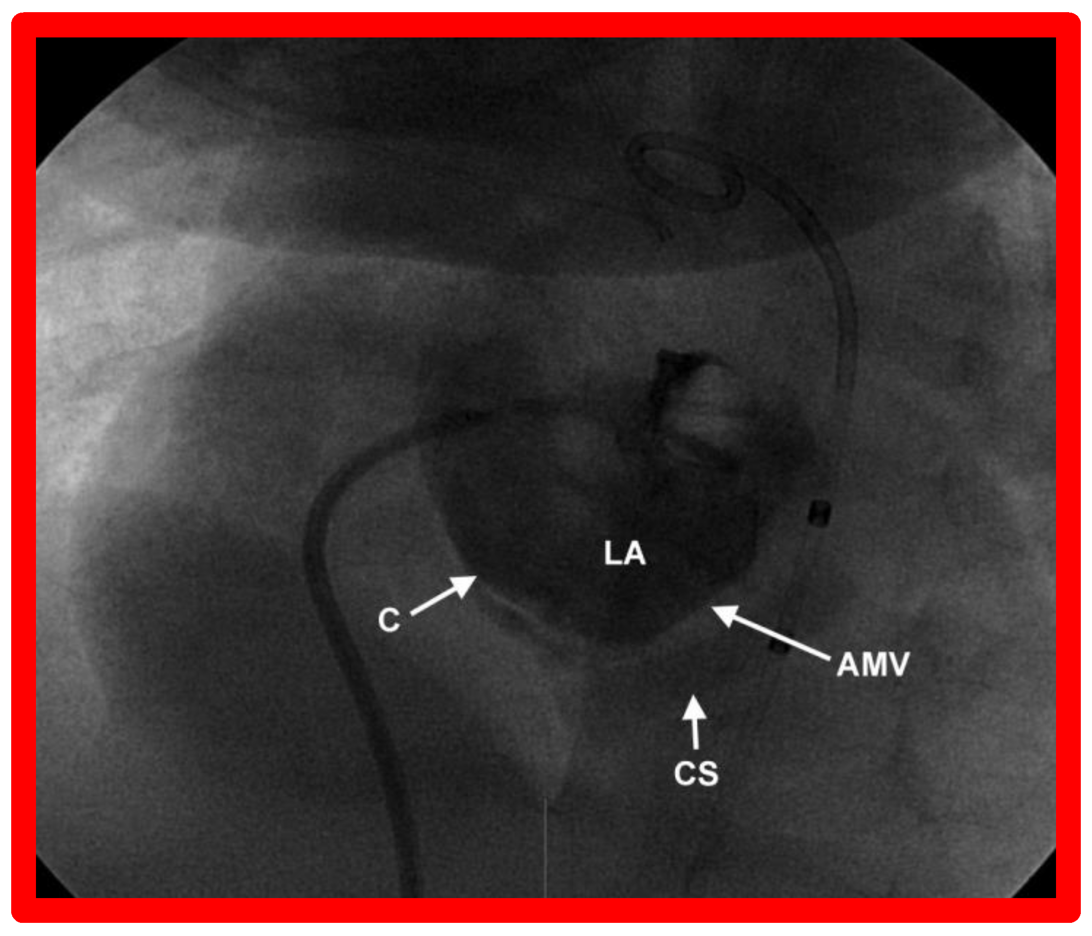 Children 09 01148 g006 550