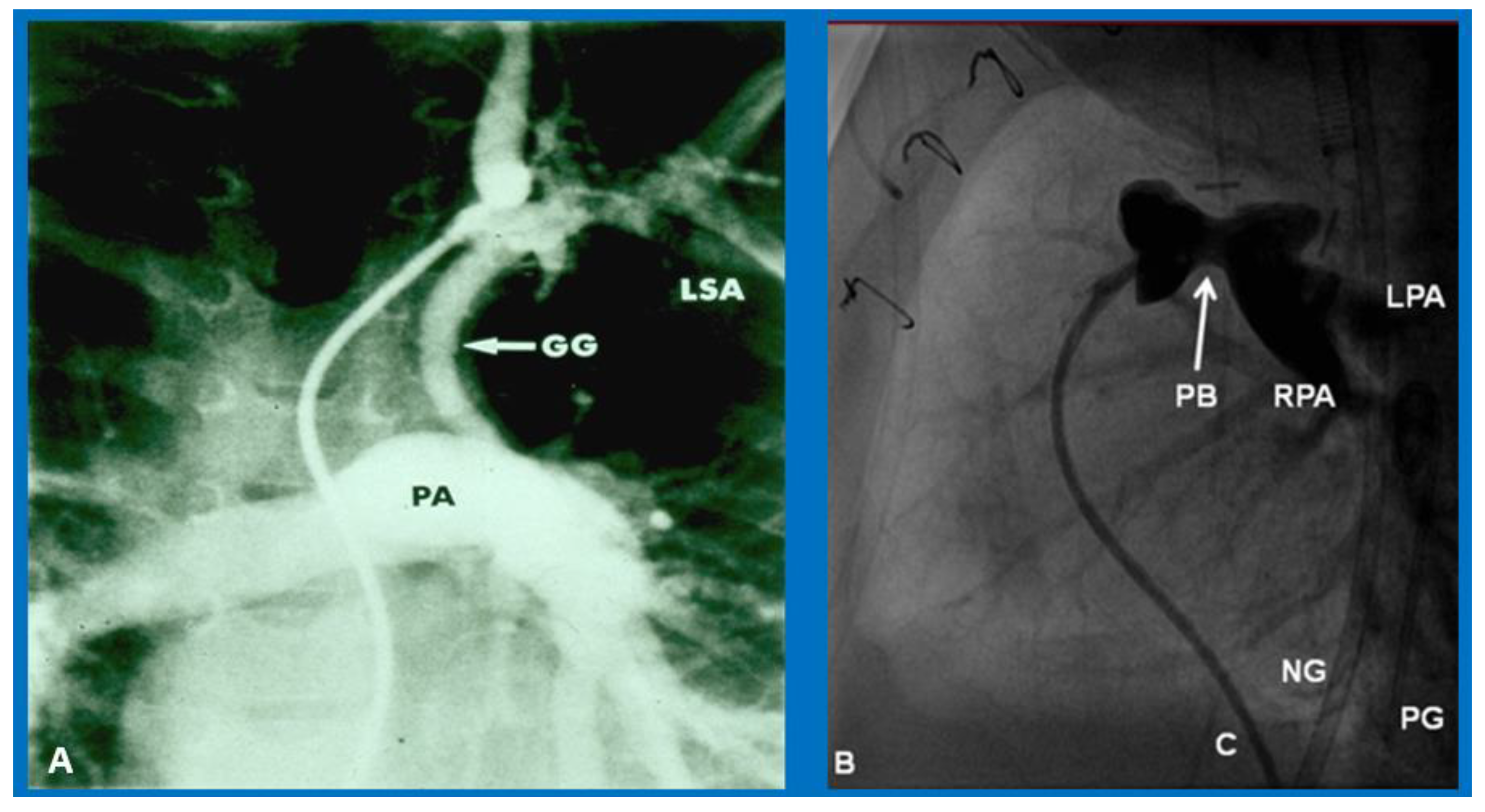 Children 09 01148 g009 550