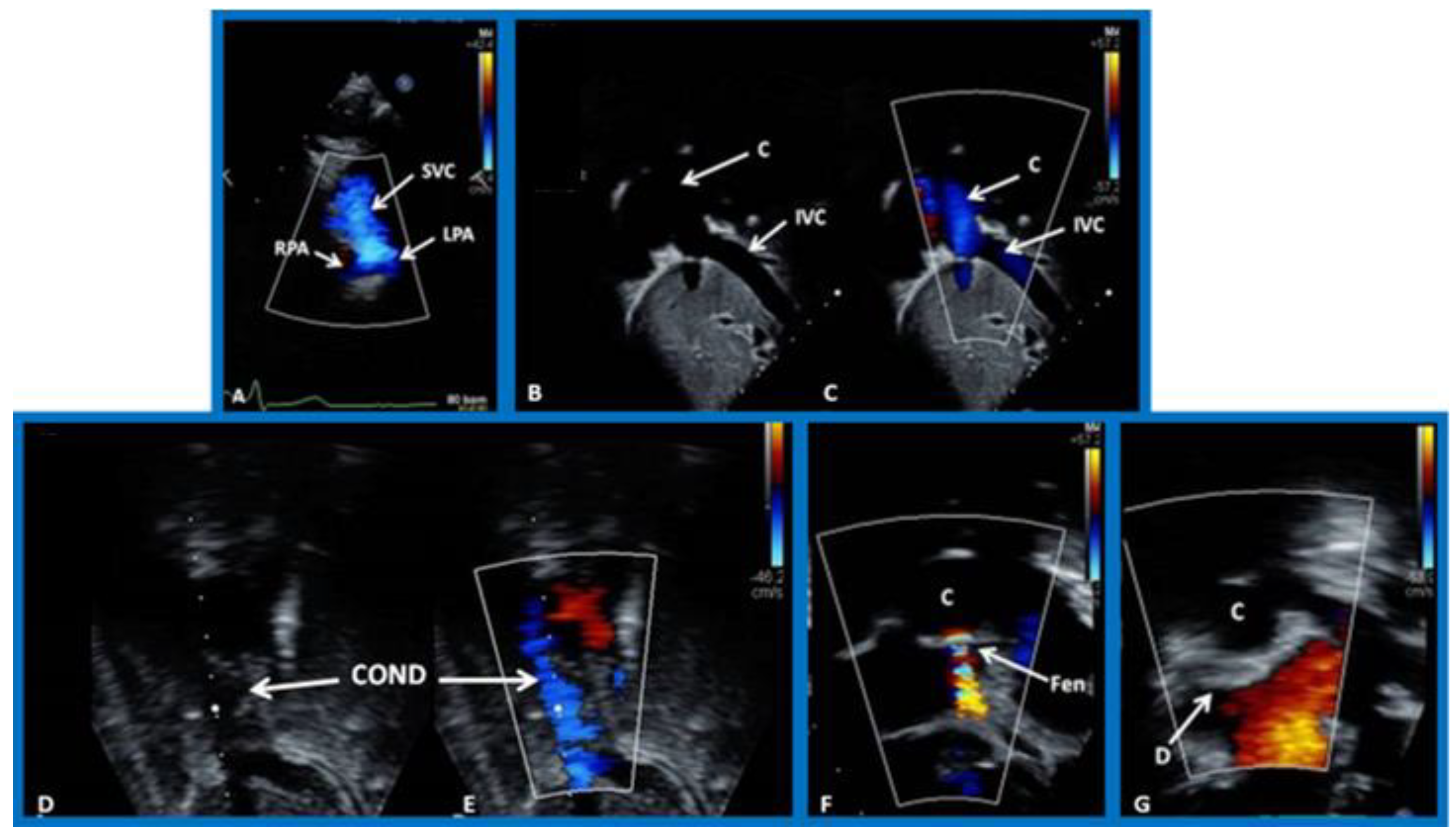 Children 09 01148 g013 550