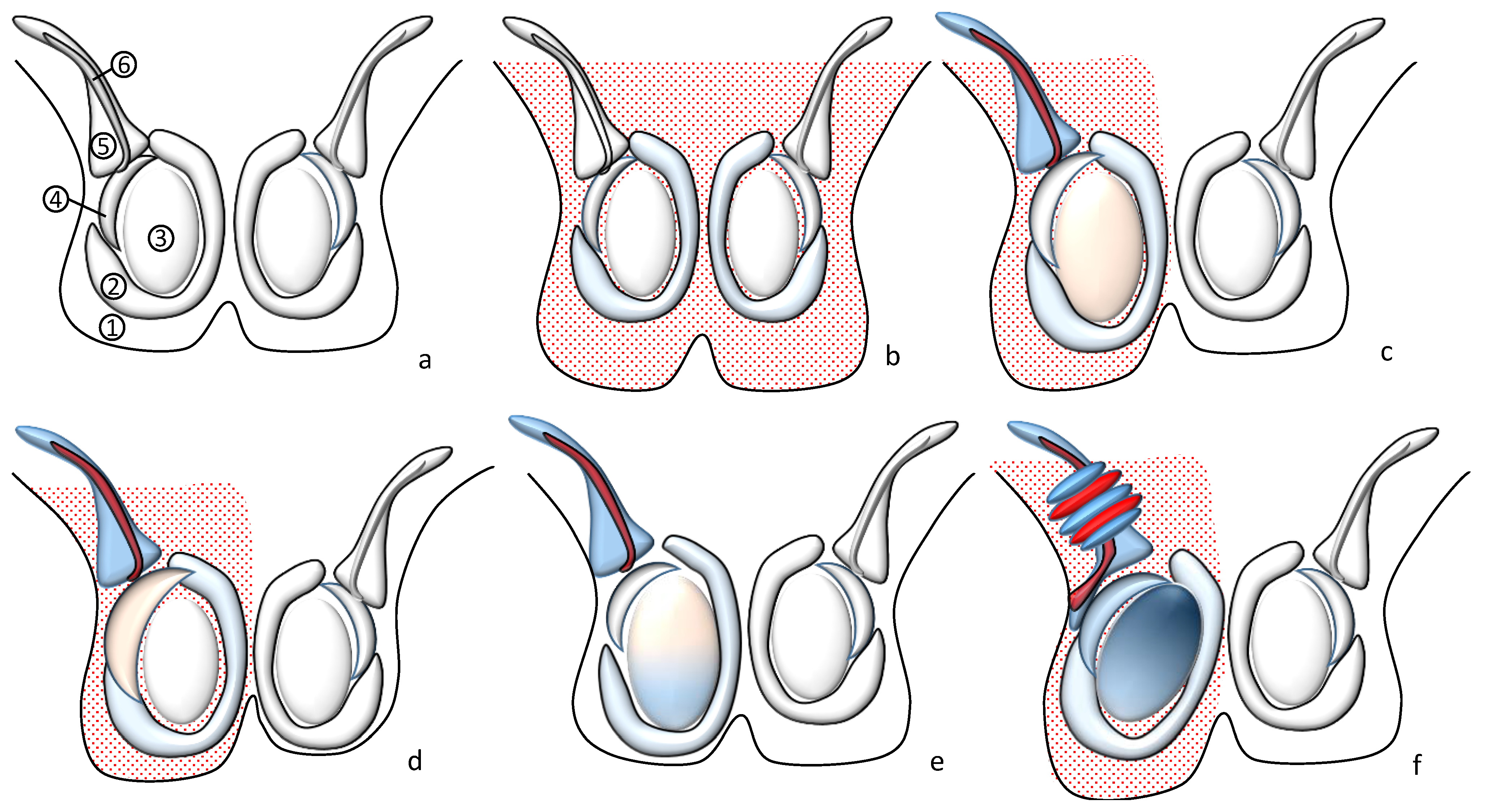 Children 09 01154 g003 Children 09 01154 g003