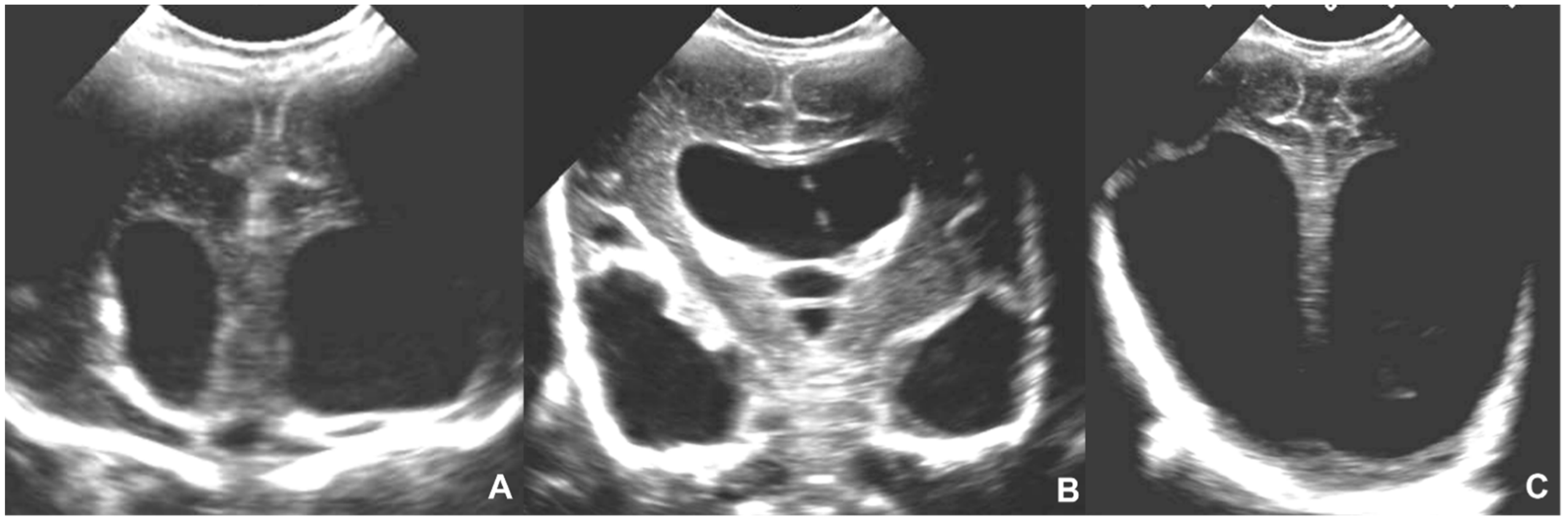 Children 09 01210 g008 550