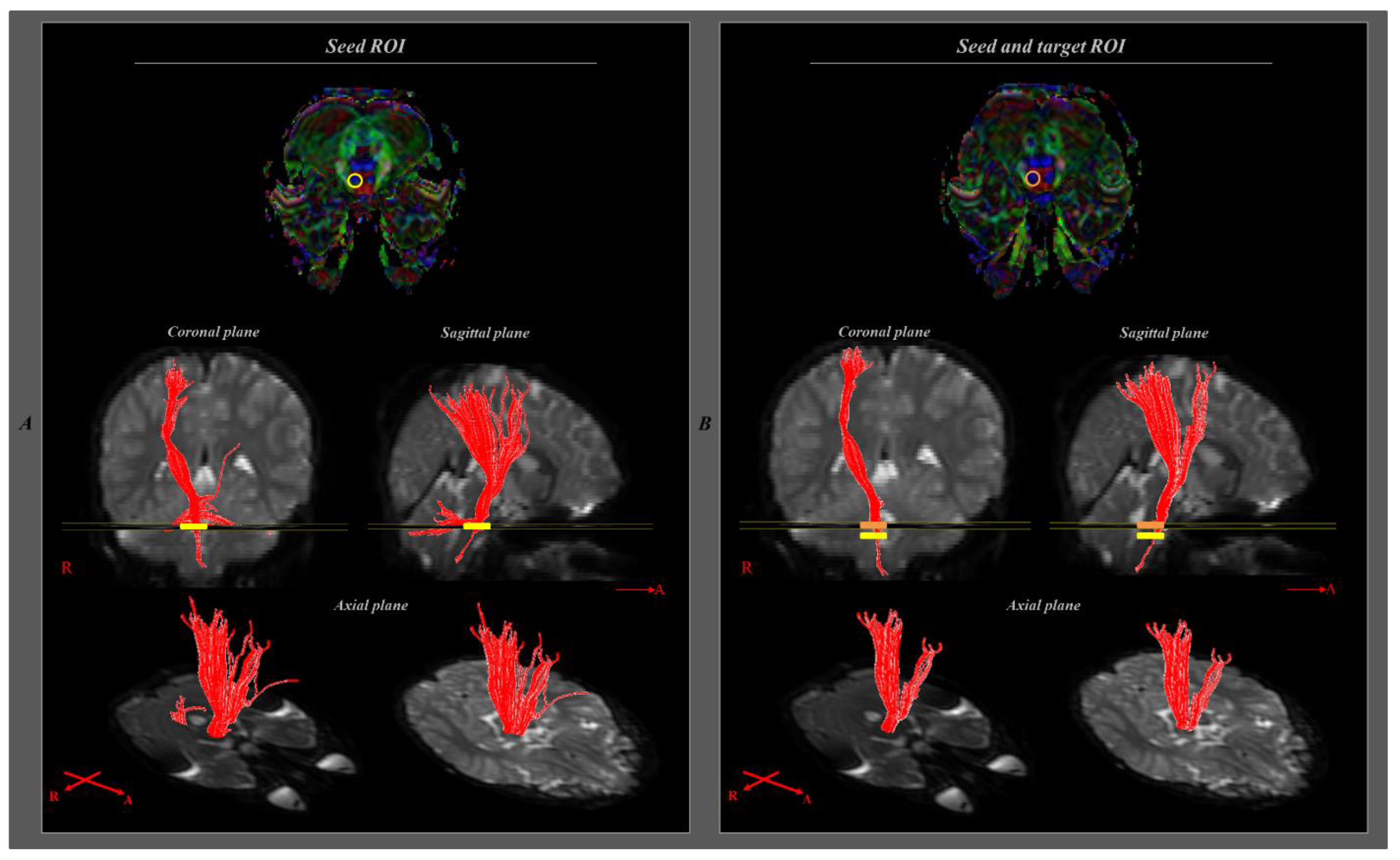 Children 09 01223 g001 550