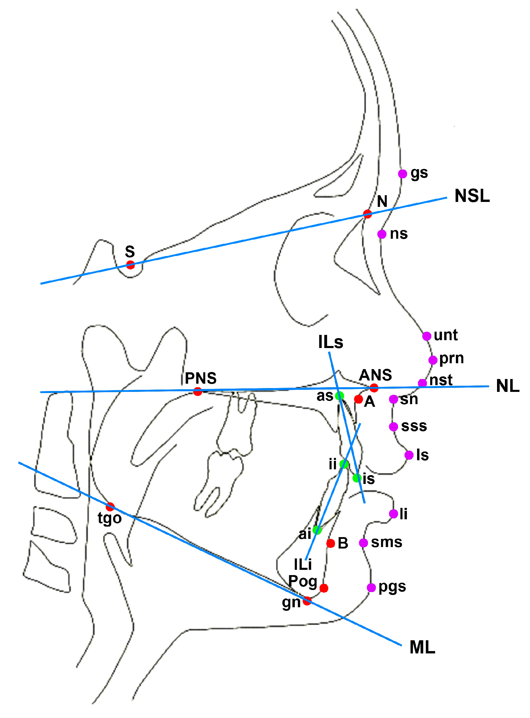 Children 09 01228 g002