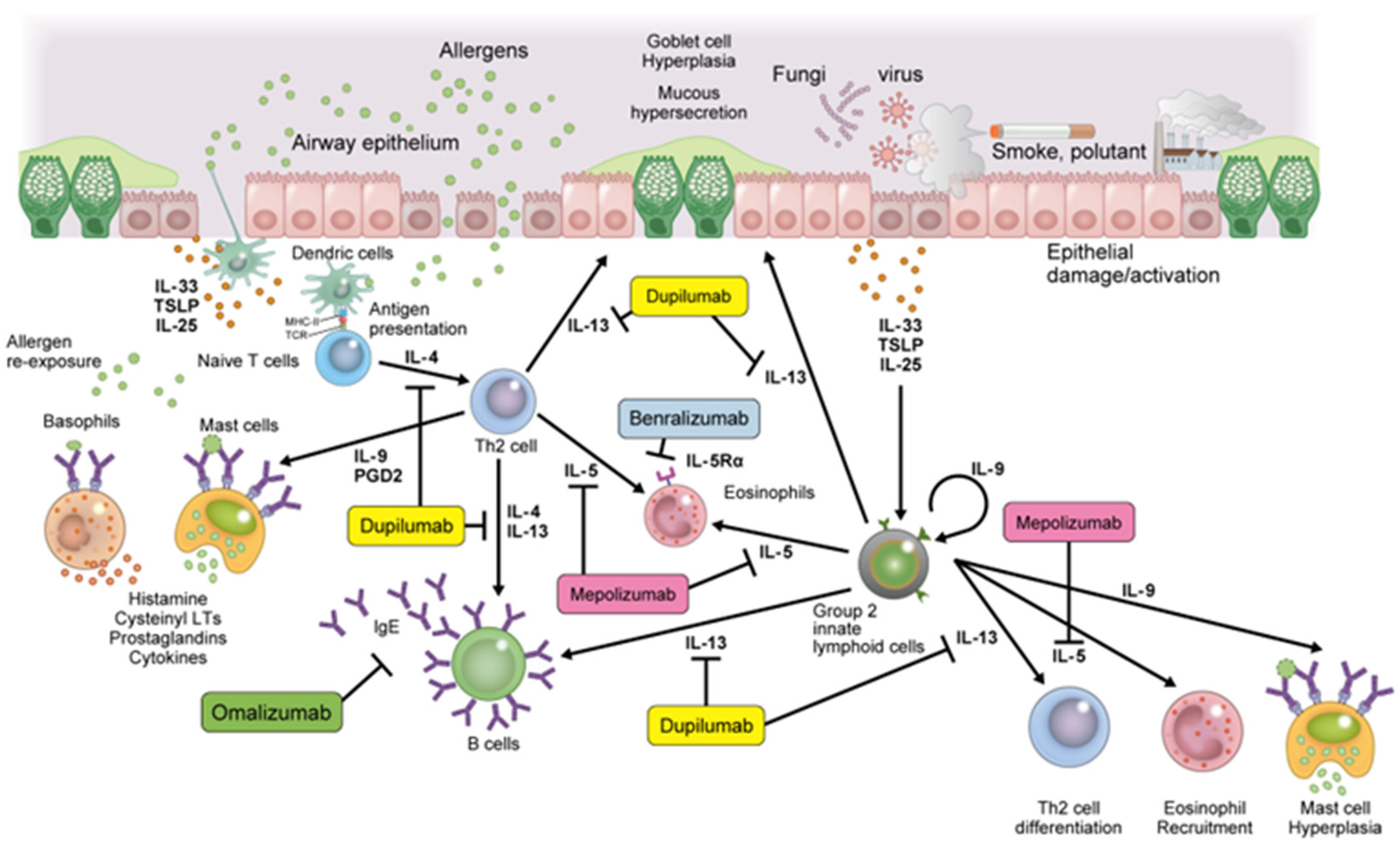 Children 09 01253 g002 Children 09 01253 g002
