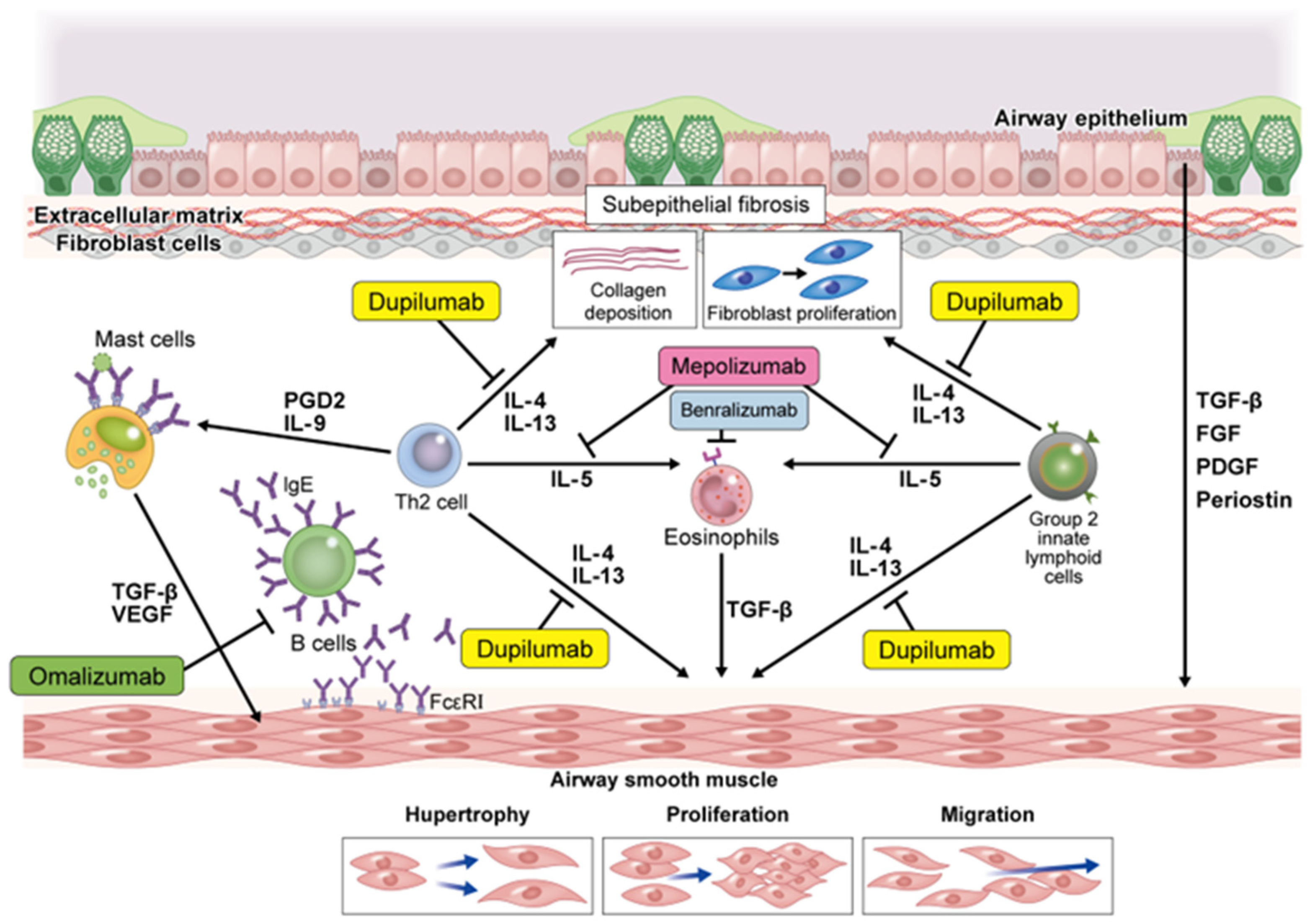 Children 09 01253 g003 Children 09 01253 g003