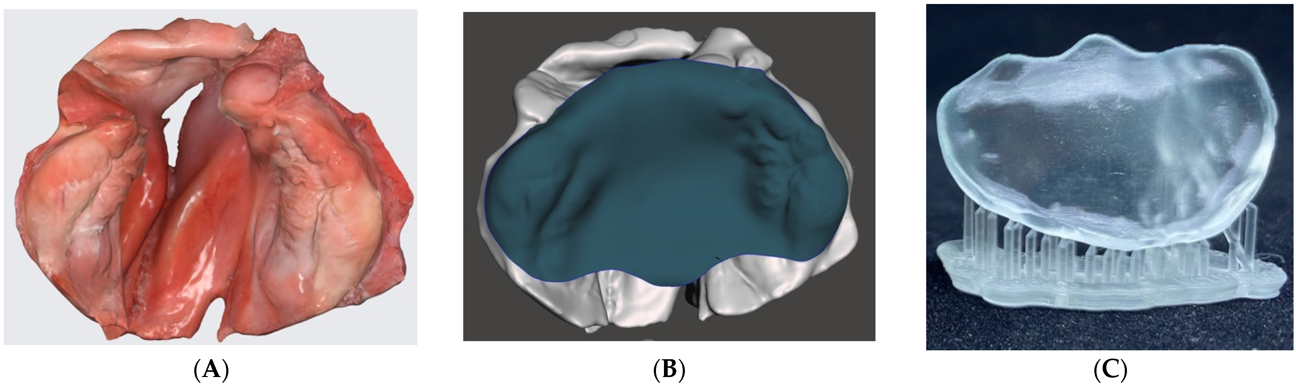 Children 09 01261 g001