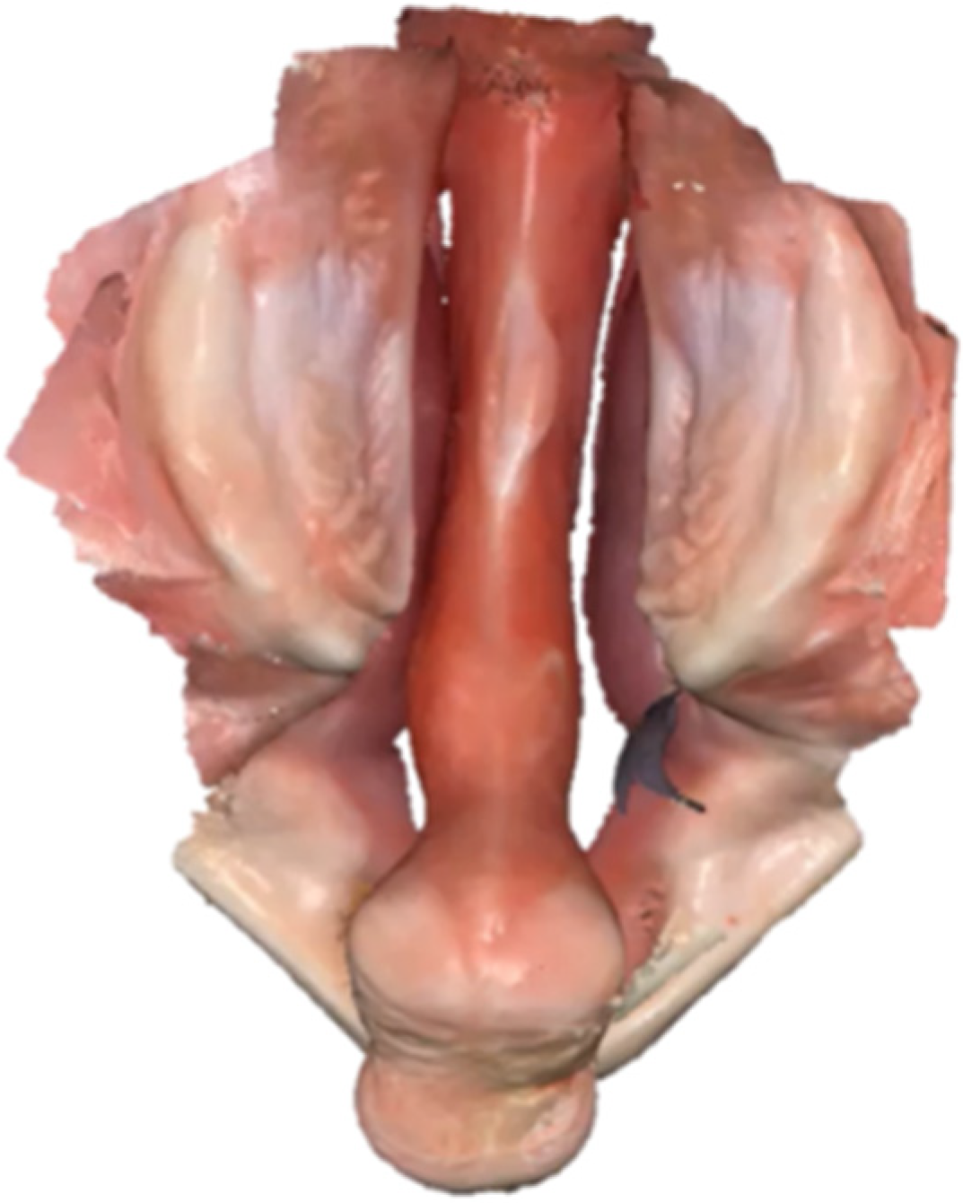 Children 09 01261 g002