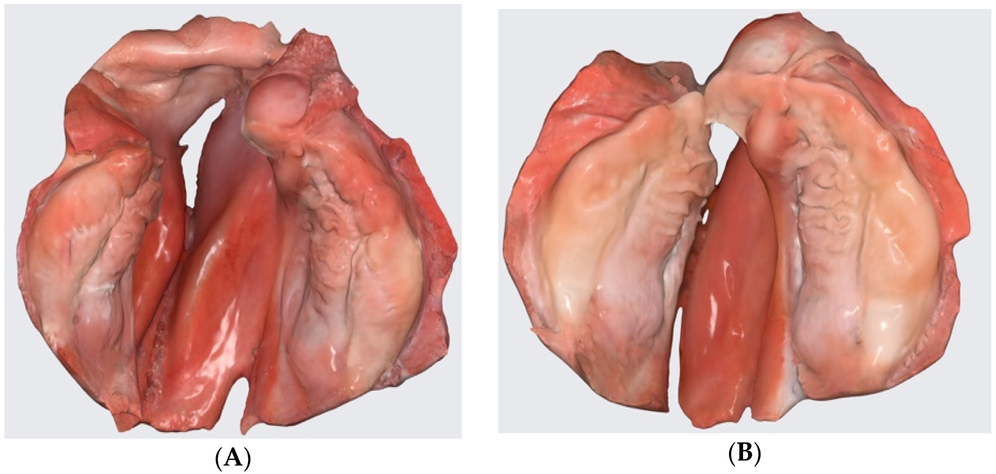 Children 09 01261 g008