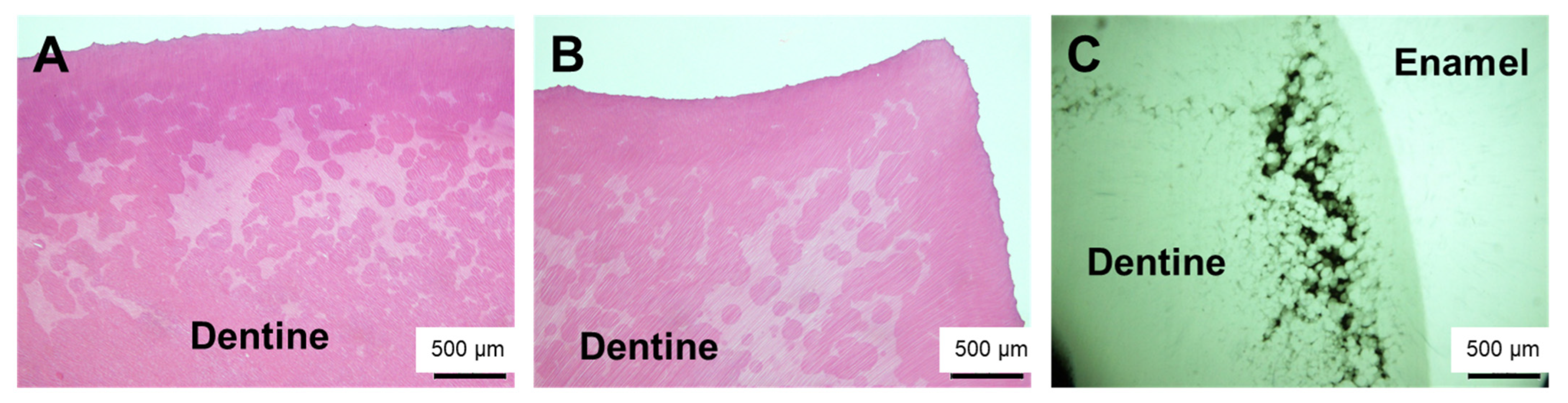 Children 09 01304 g003