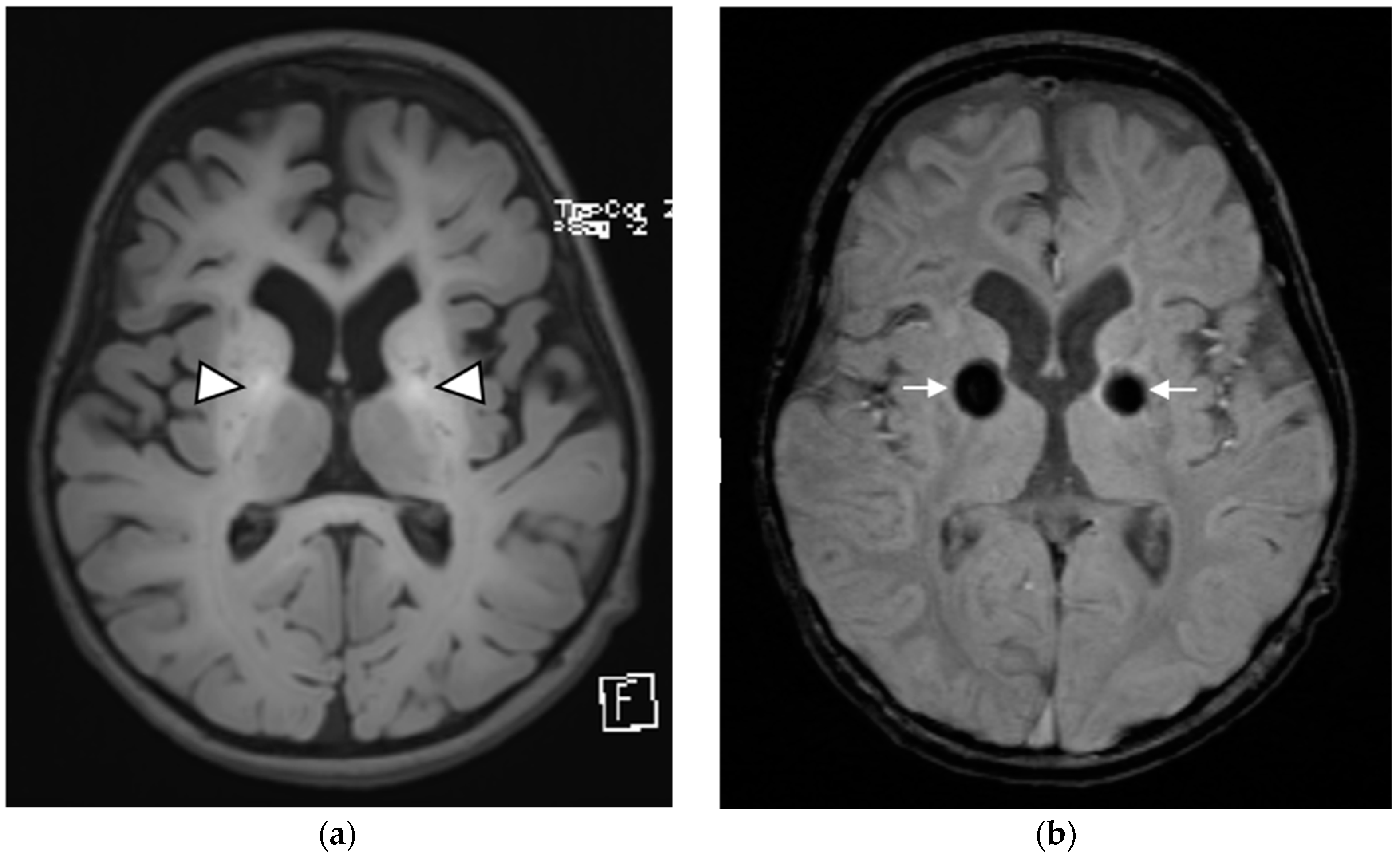 Children 09 01335 g001