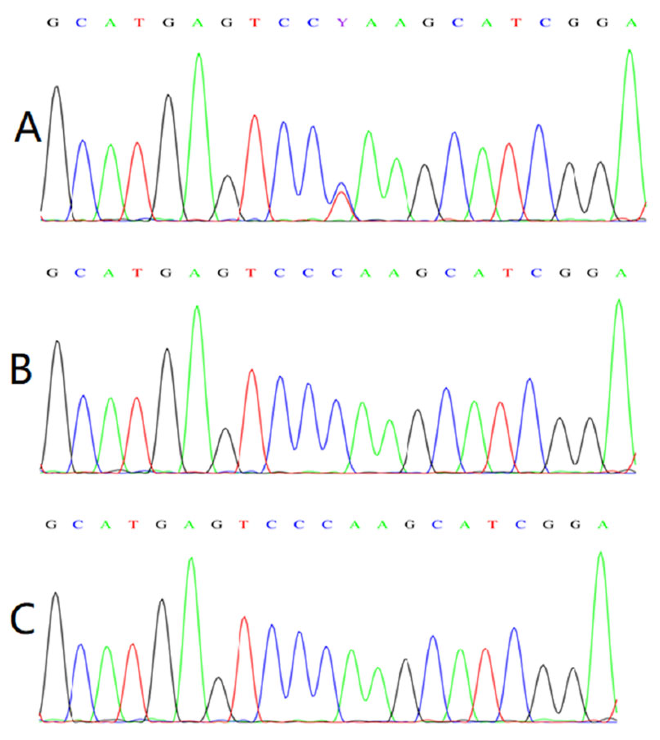 Children 09 01447 g003