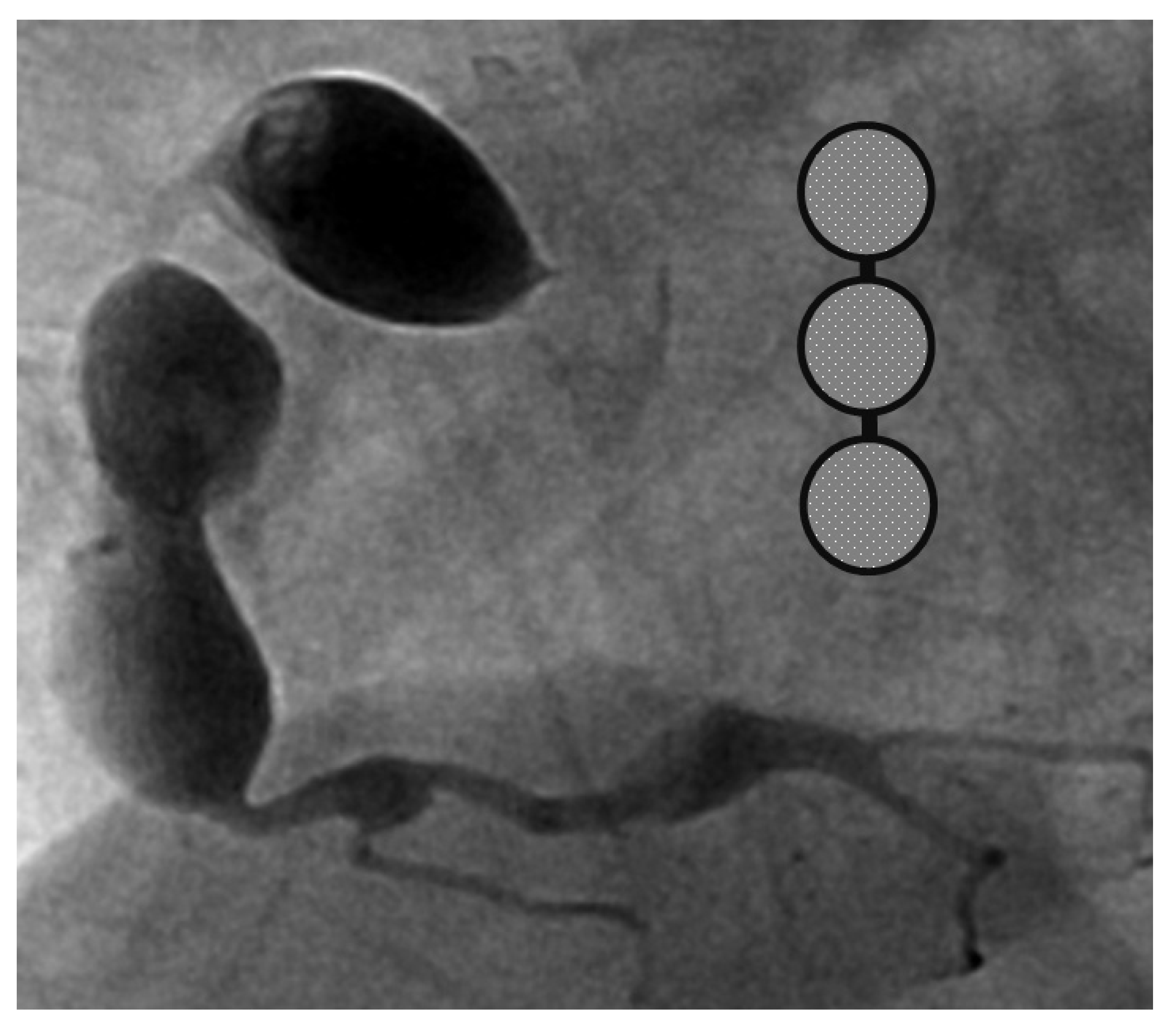 Children 09 01463 g002 550