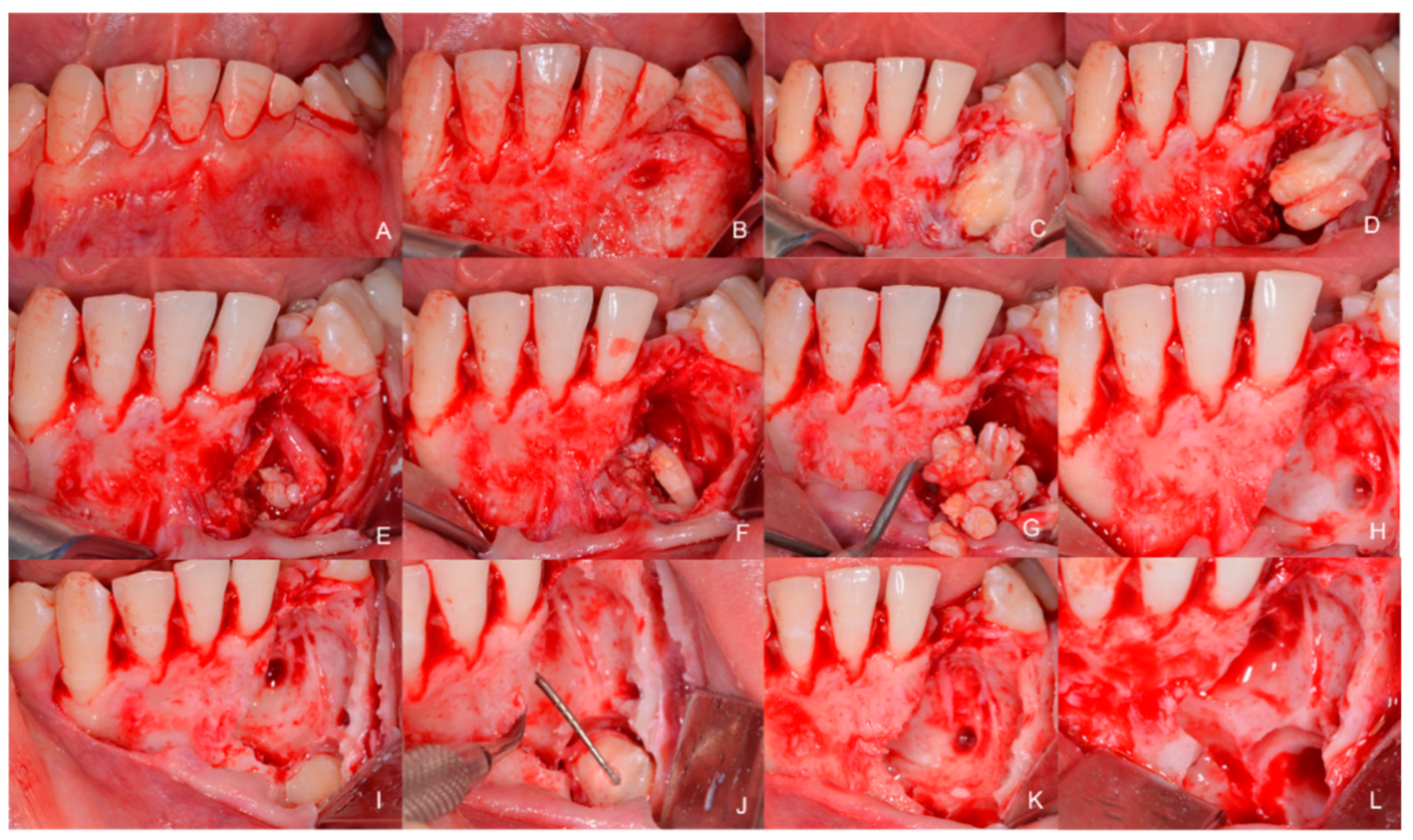 Children 09 01509 g007 Children 09 01509 g007