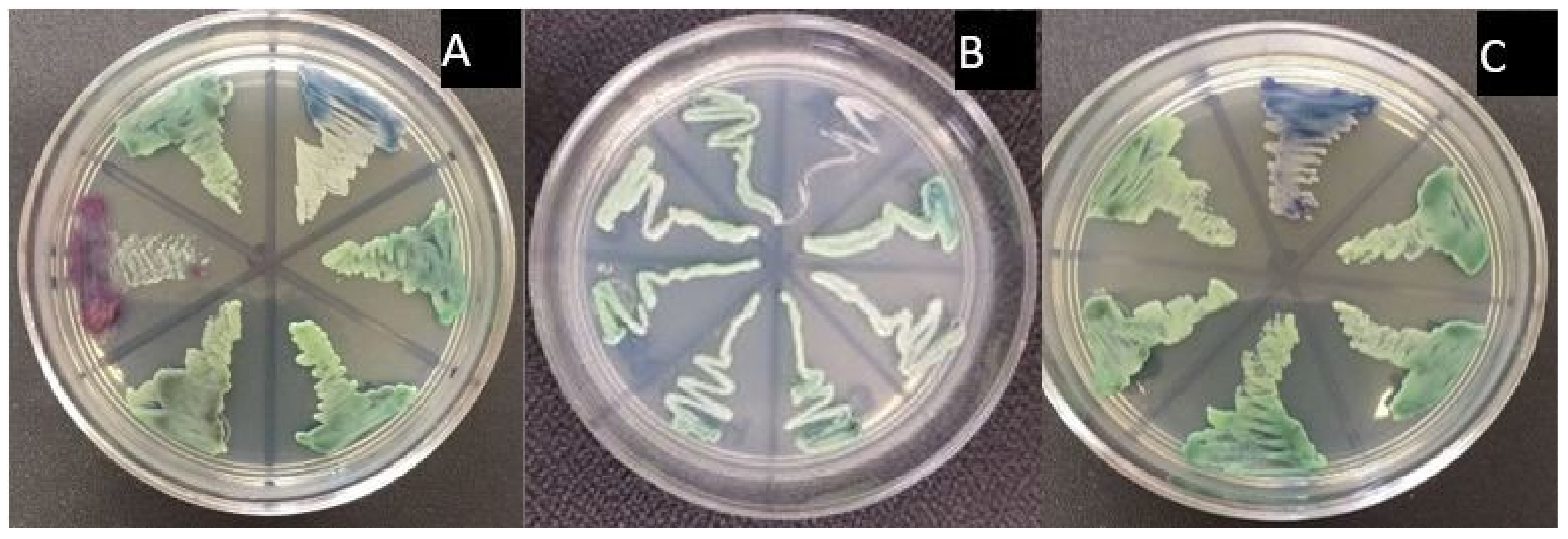 Children 09 01510 g001