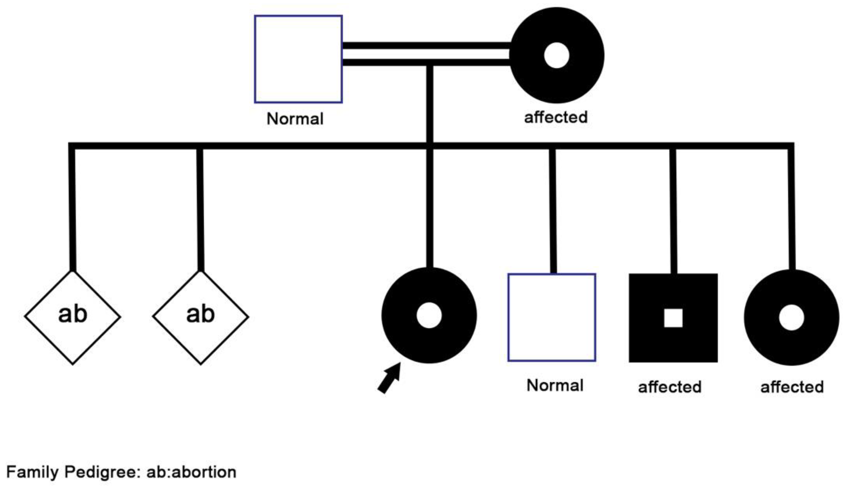 Children 09 01534 g001