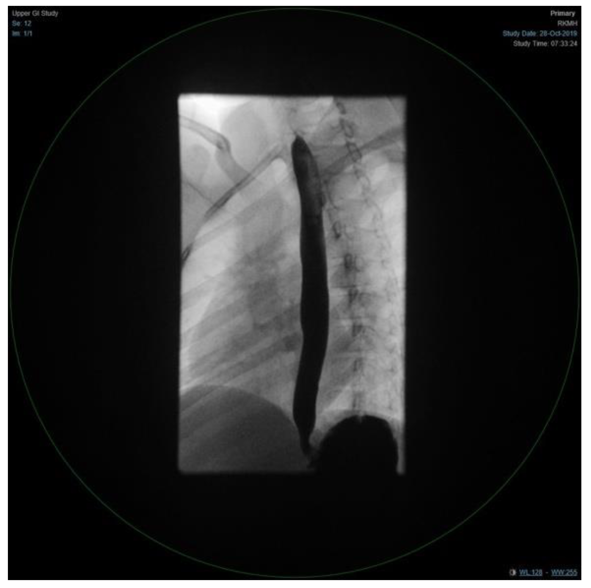 Children 09 01534 g004