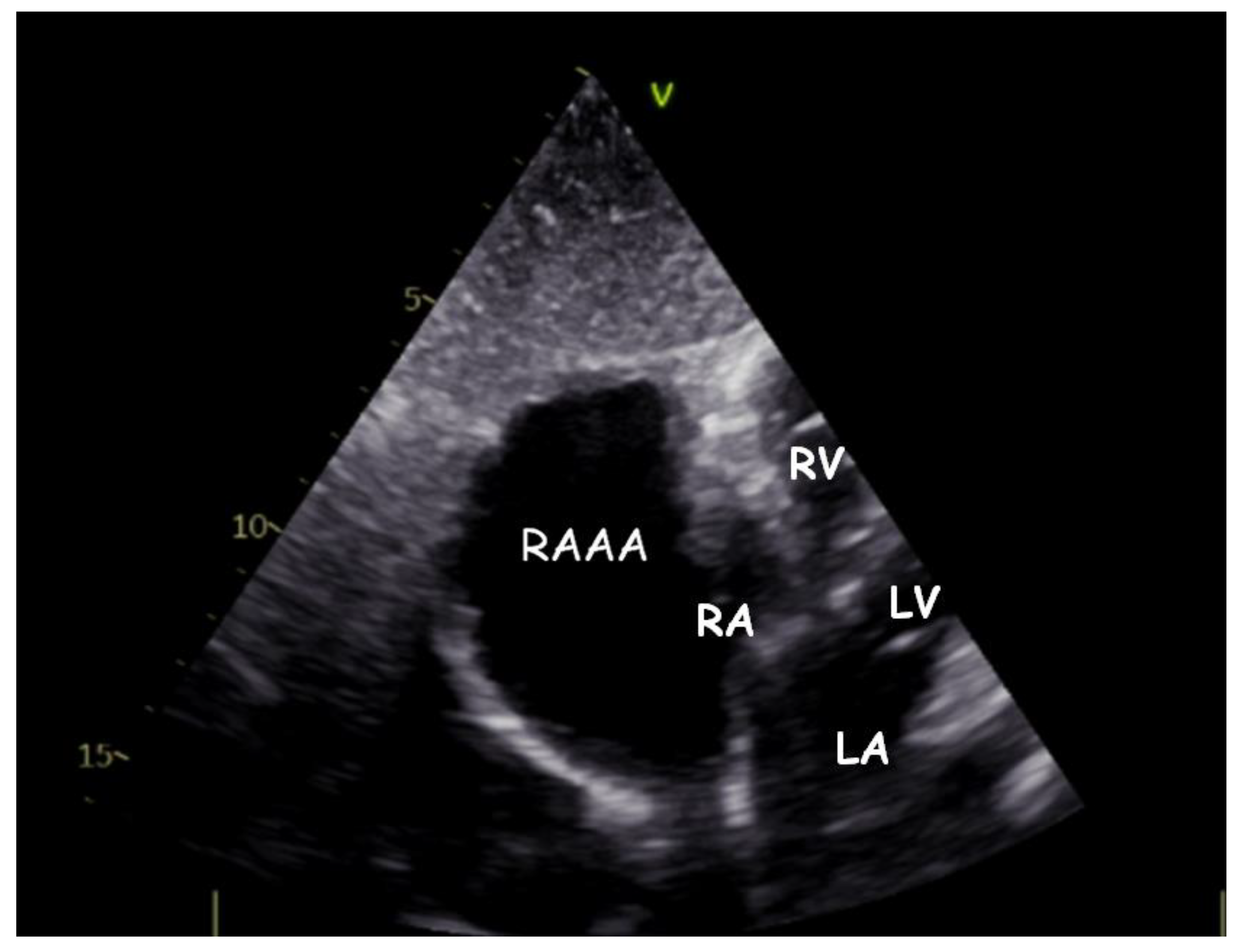 Children 09 01552 g003