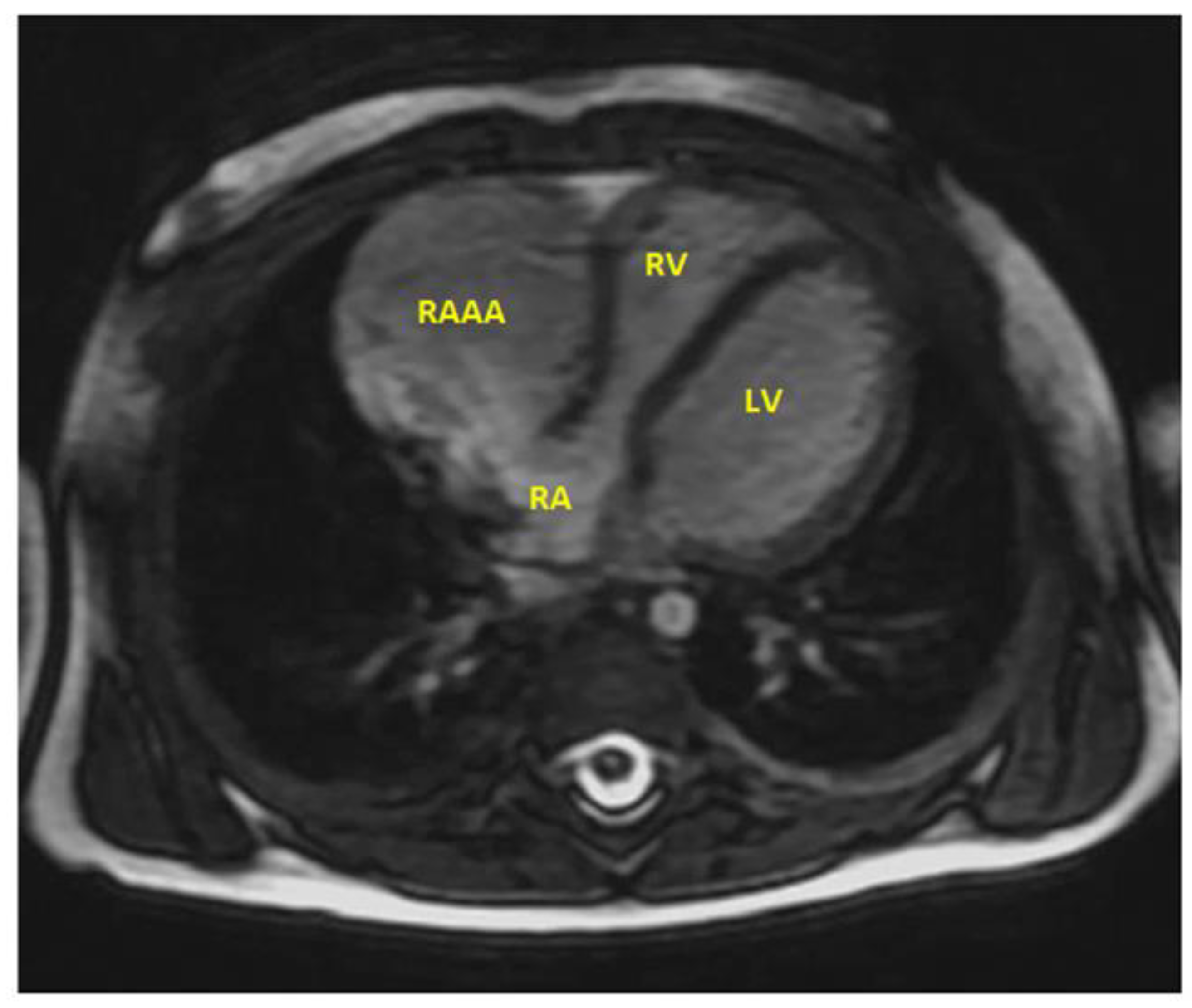 Children 09 01552 g008