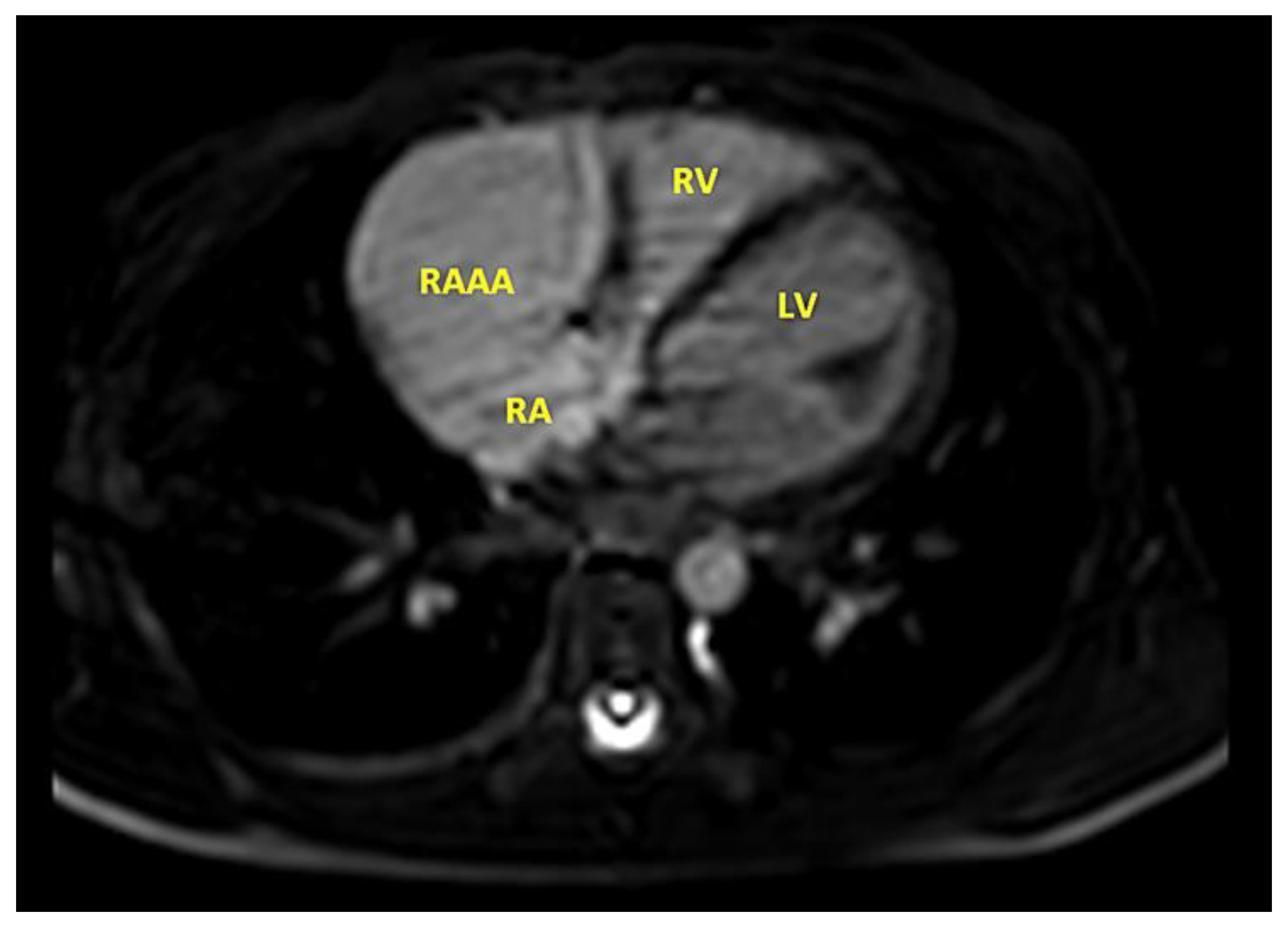 Children 09 01552 g009