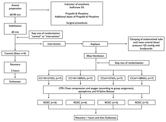 Children Free Full Text A Randomized Controlled Animal Study 21 Or 100 Oxygen During Cardiopulmonary Resuscitation In Asphyxiated Infant Piglets