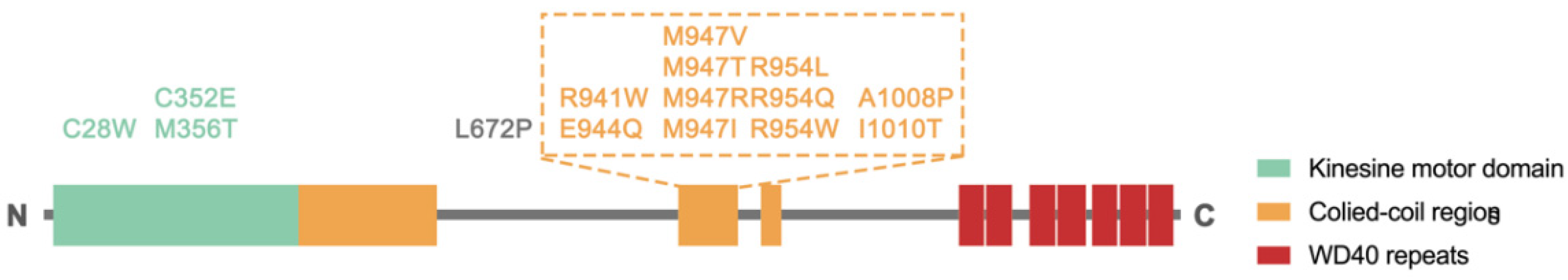 Children 09 01605 g004