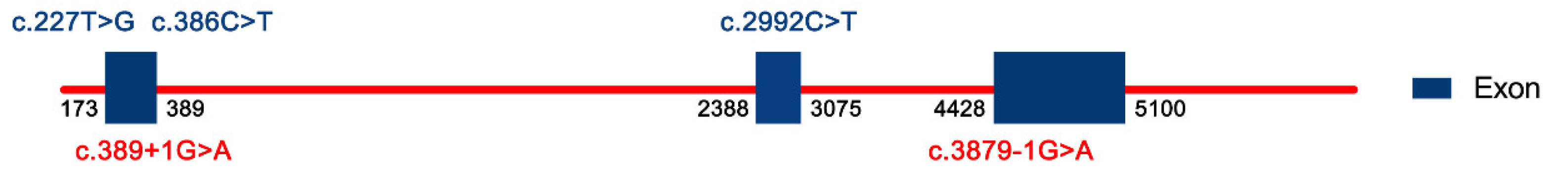 Children 09 01605 g005