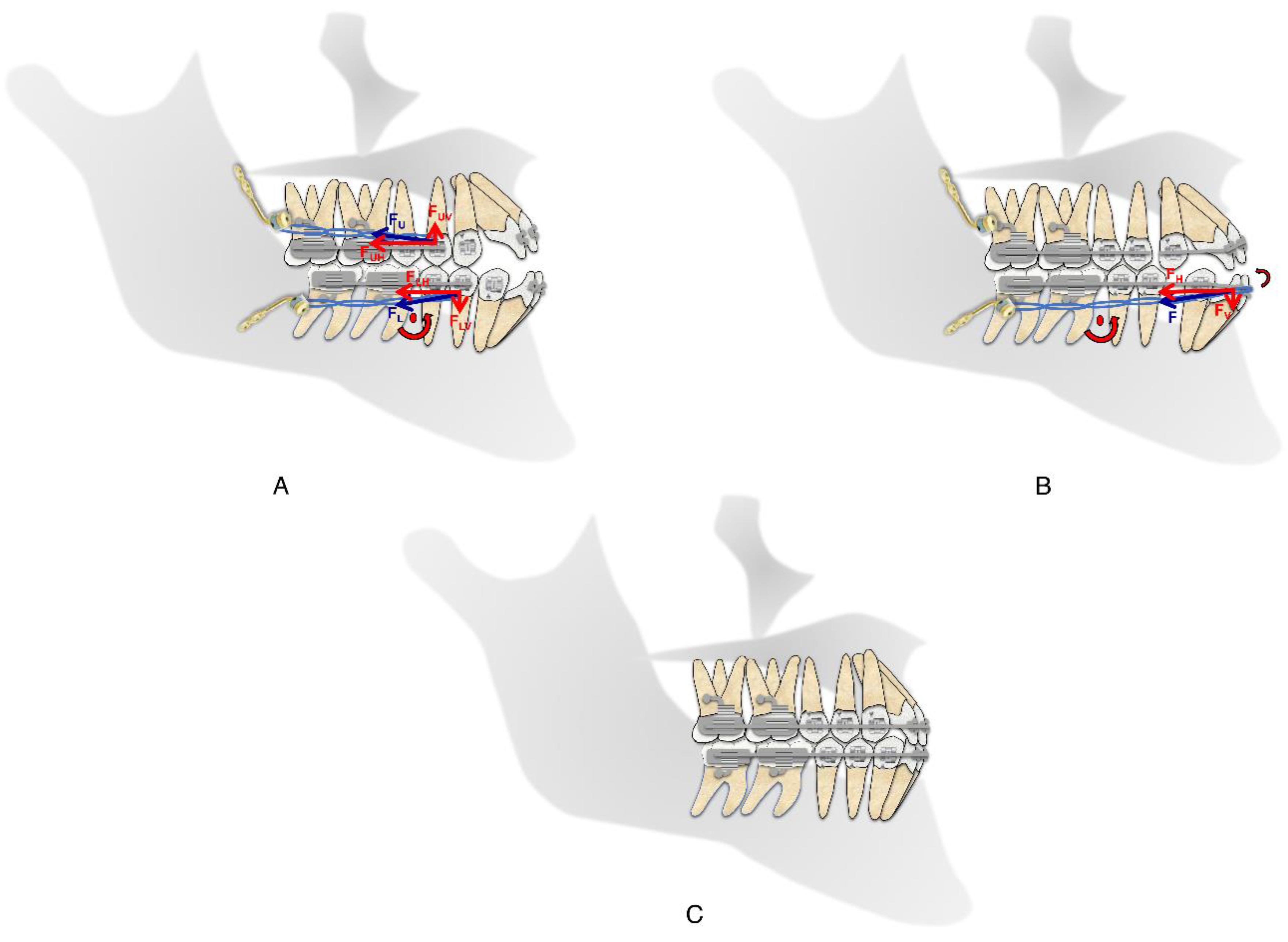 Children 09 01666 g005