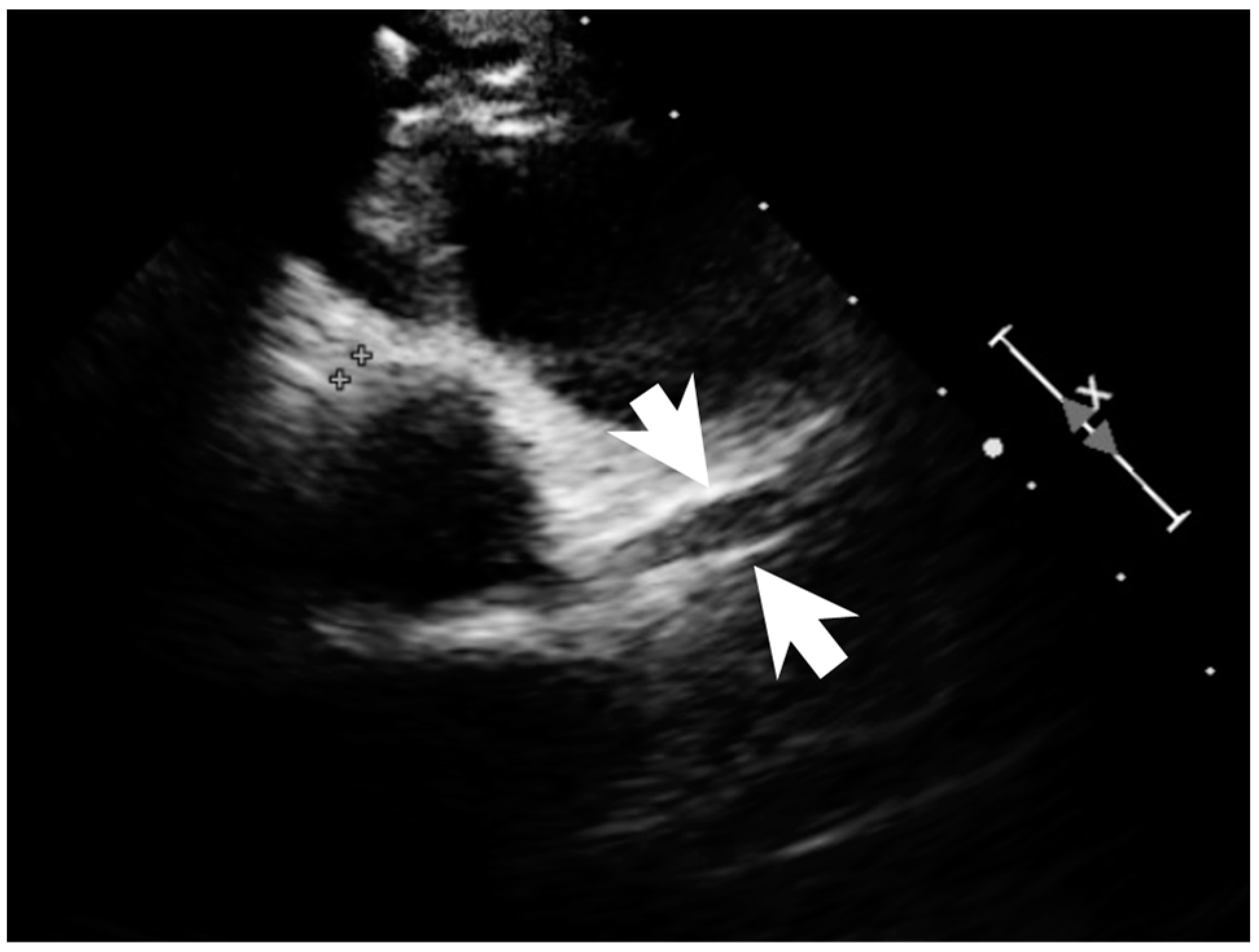 Children 09 01819 g004 Children 09 01819 g004