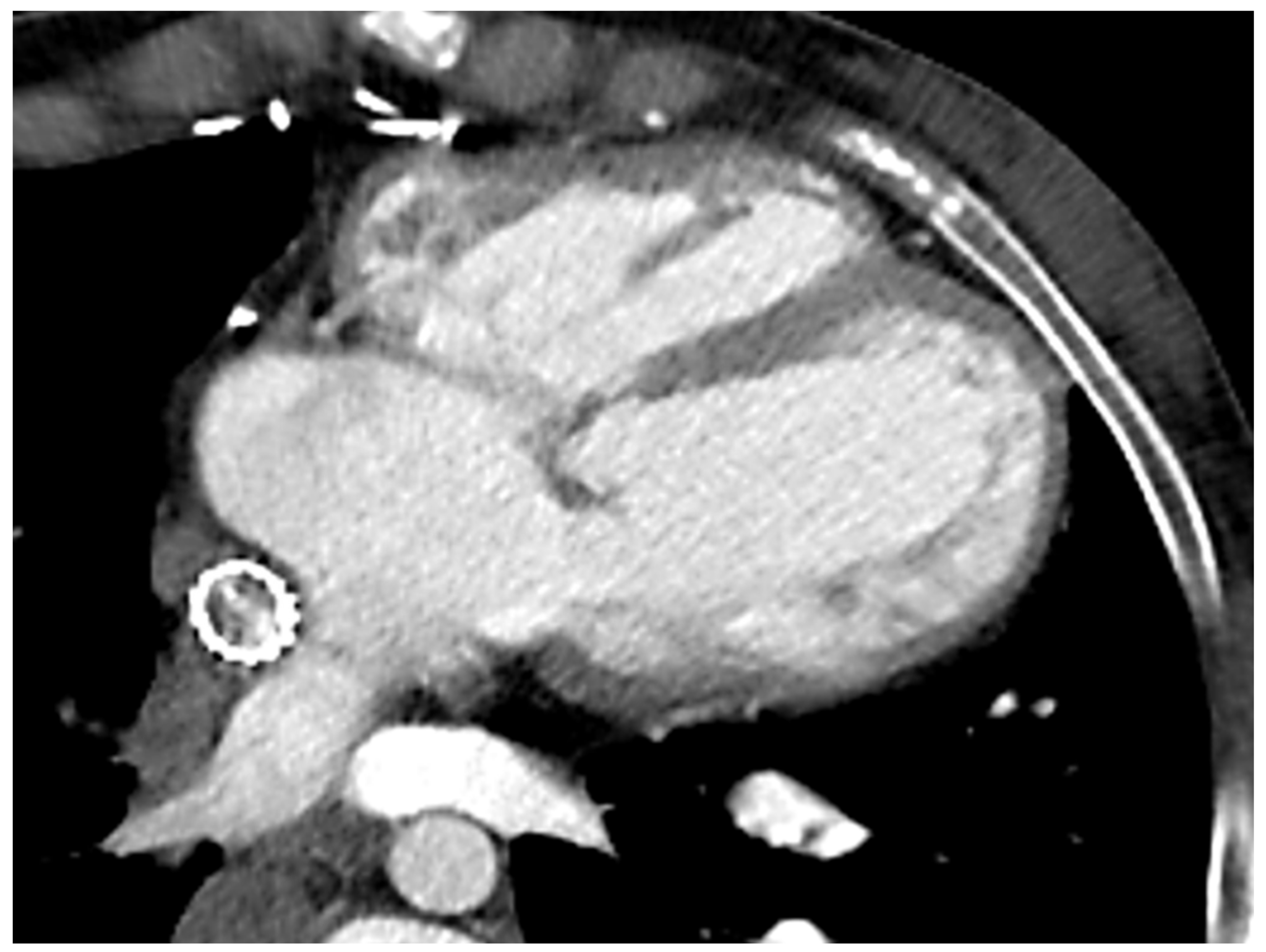 Children 09 01875 g004