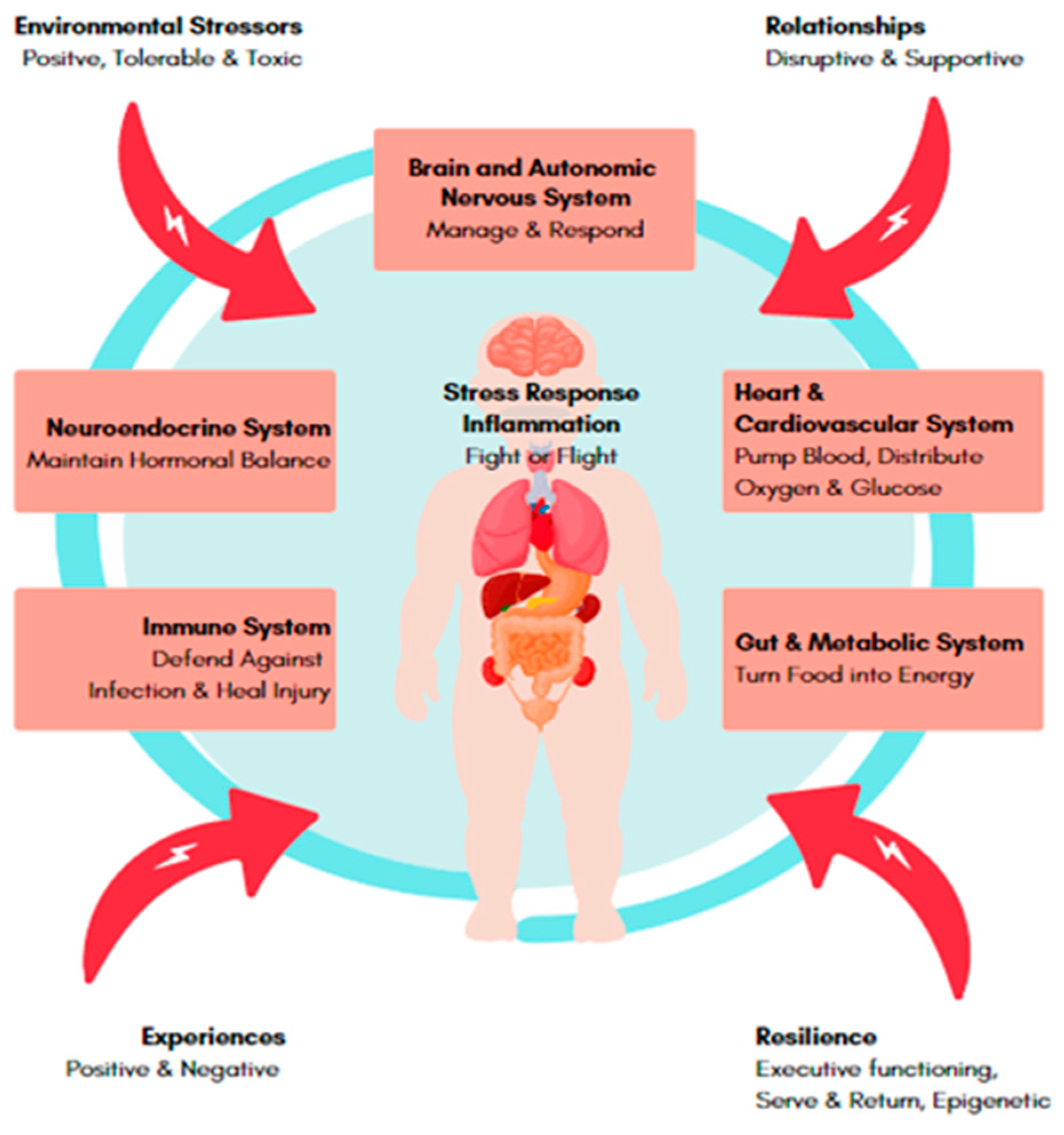 Children Free Full-Text Brain-Directed Care Why Neuroscience Principles Direct PICU Management beyond the ABCs