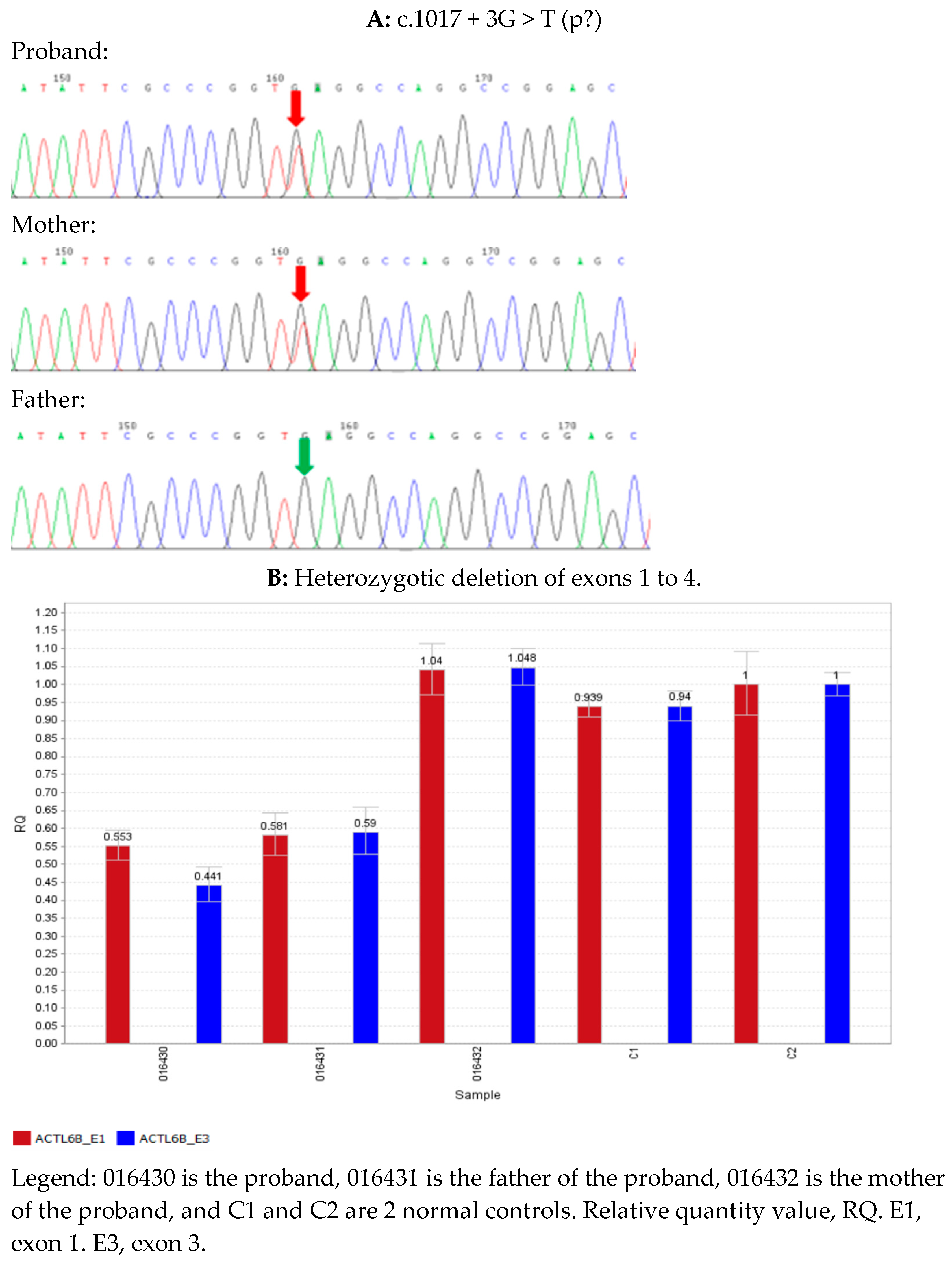 Children 09 01967 g002 Children 09 01967 g002