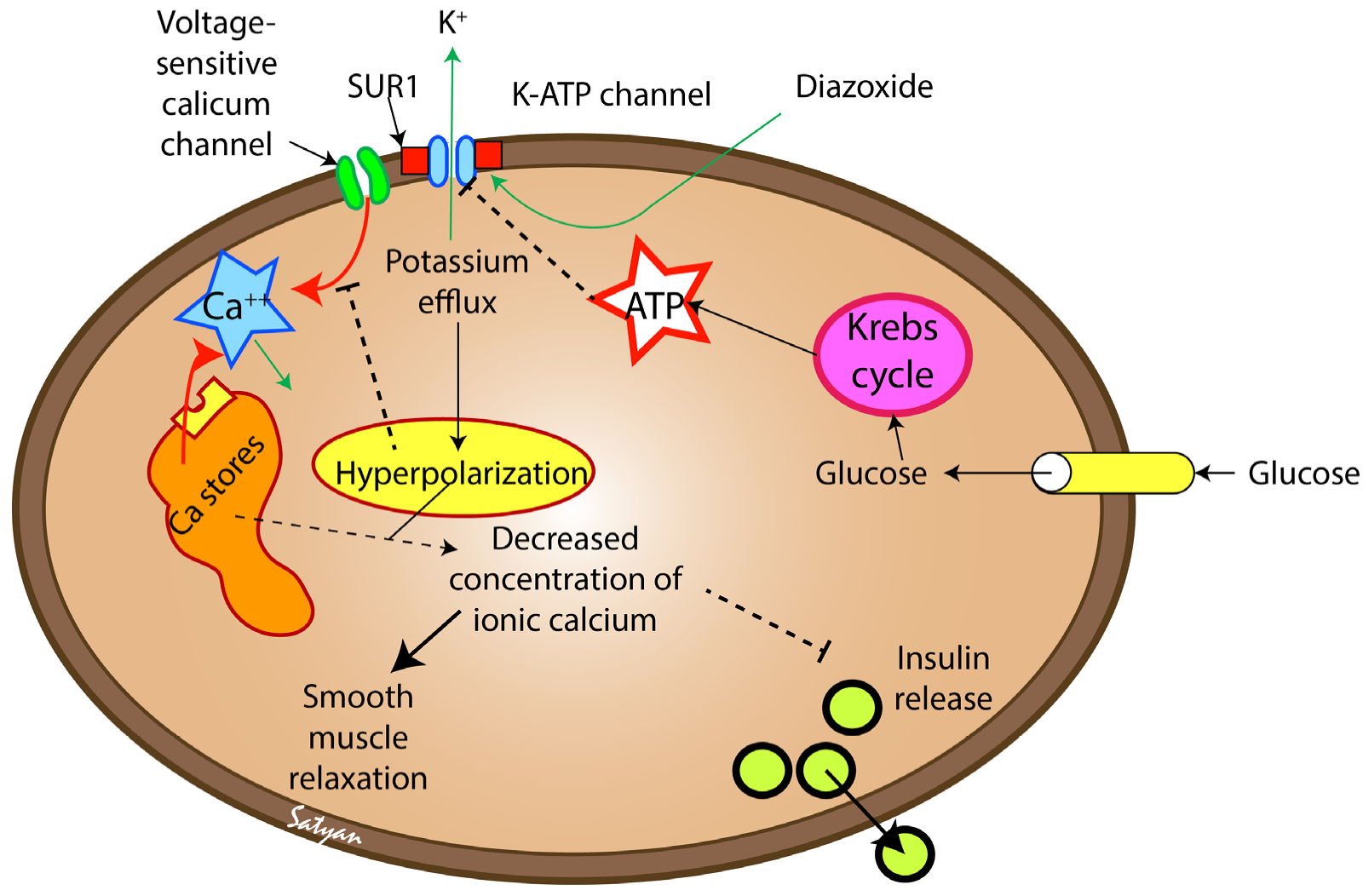 Children 10 00005 g001 Children 10 00005 g001
