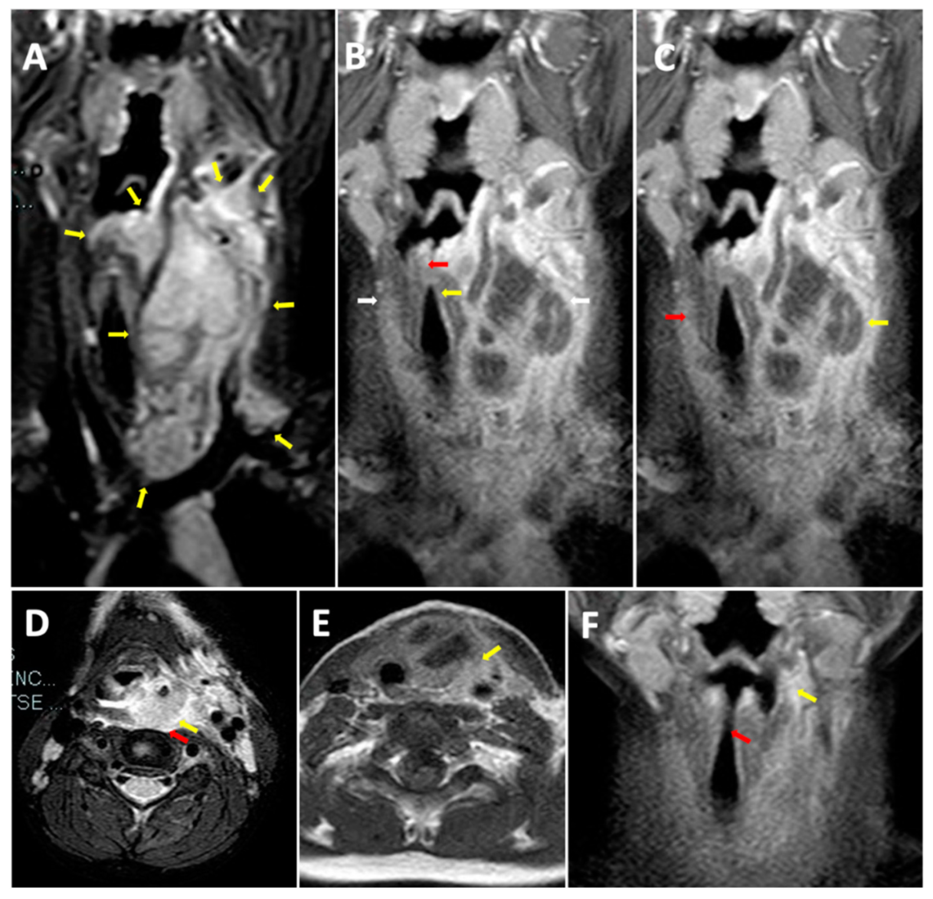 Children 10 00017 g001 Children 10 00017 g001