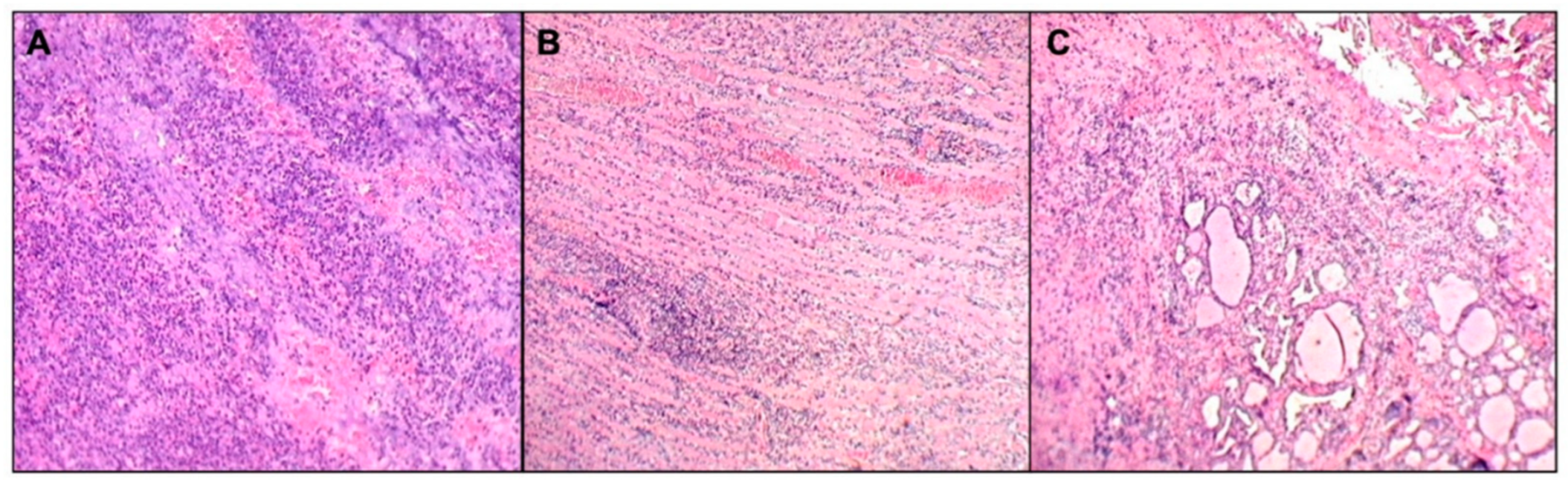 Children 10 00017 g002 Children 10 00017 g002