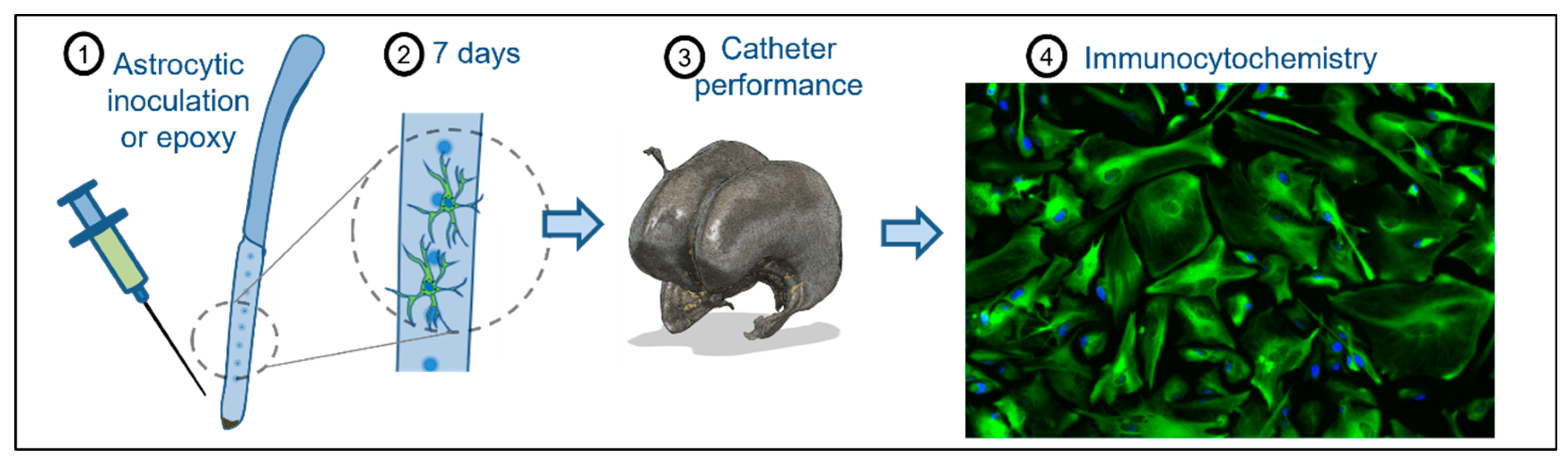 Children 10 00018 g001 Children 10 00018 g001