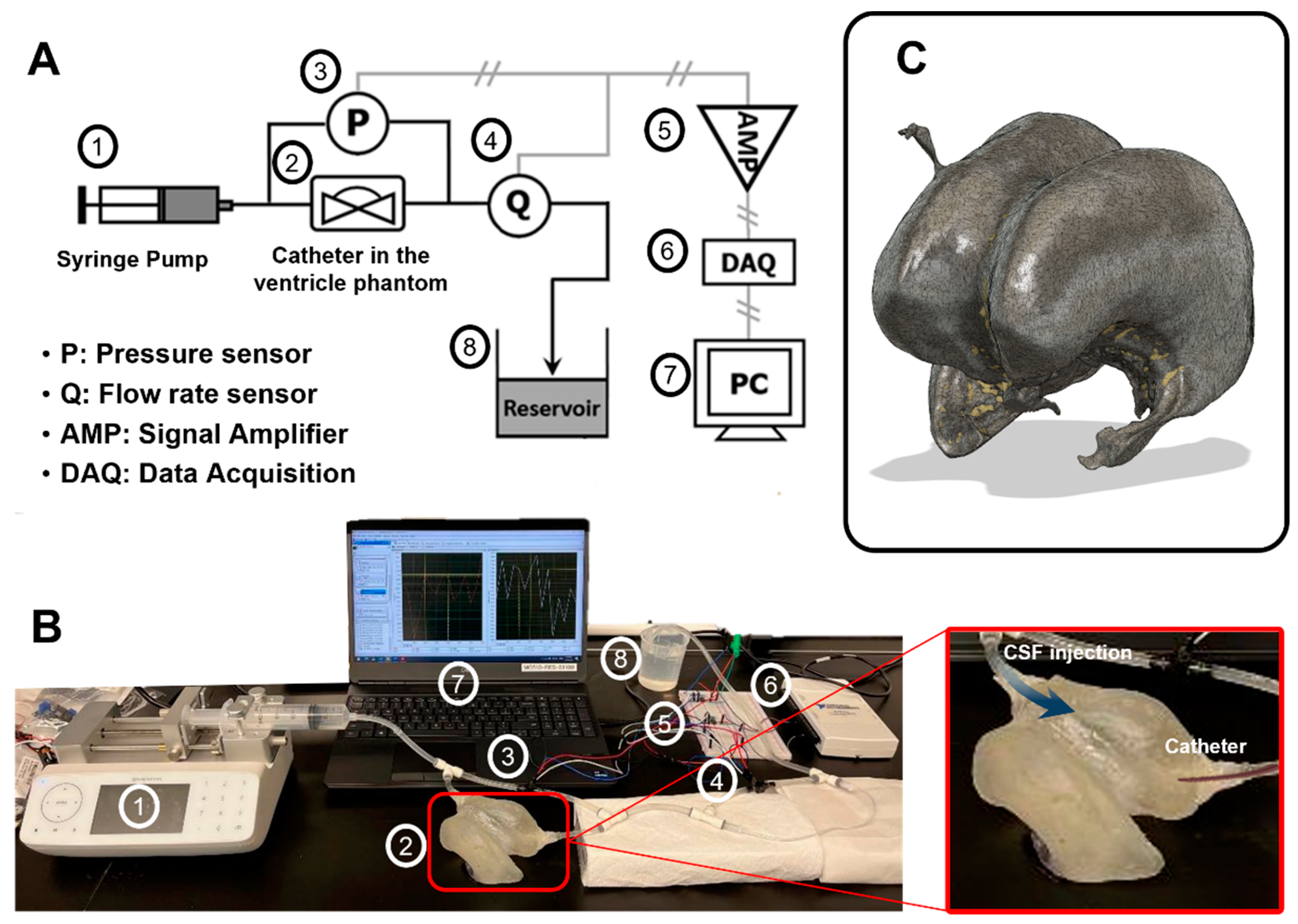 Children 10 00018 g002 Children 10 00018 g002