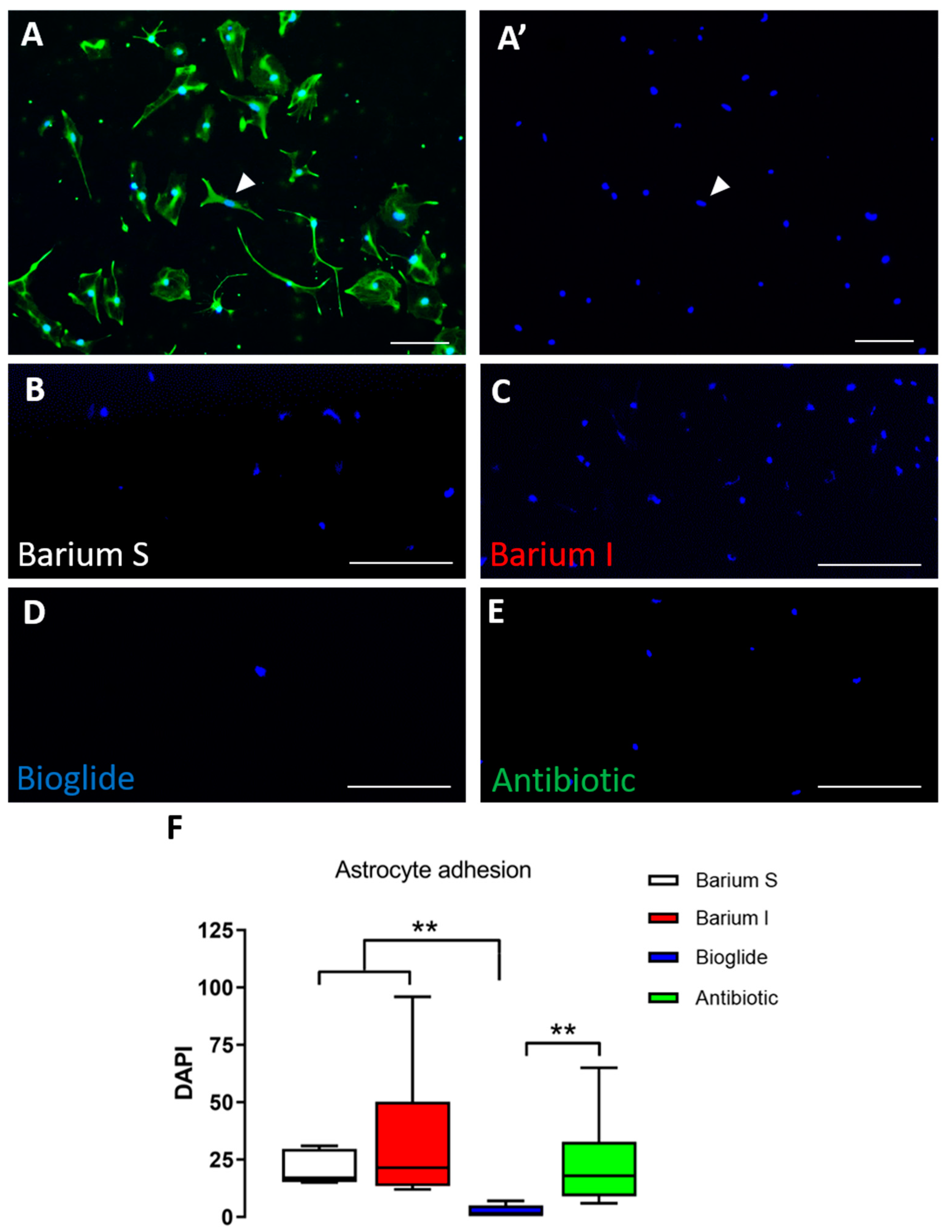Children 10 00018 g003 Children 10 00018 g003